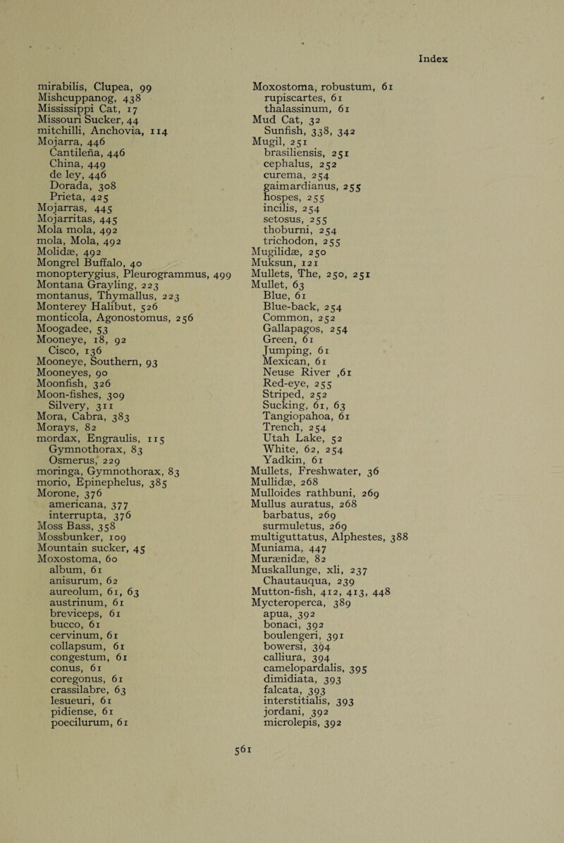 mirabilis, Clupea, 99 Mishcuppanog, 438 Mississippi Cat, 17 Missouri Sucker, 44 mitchilli, Anchovia, 114 Mojarra, 446 Cantilena, 446 China, 449 de ley, 446 Dorada, 308 Prieta, 425 Mojarras, 445 Mojarritas, 445 Mola mola, 492 mola, Mola, 492 Molidas, 492 Mongrel Buffalo, 40 monopterygius, Pleurogrammus, 499 Montana Grayling, 223 montanus, Thymallus, 223 Monterey Halibut, 526 monticola, Agonostomus, 256 Moogadee, 53 Mooneye, 18, 92 Cisco, 136 Mooneye, Southern, 93 Mooneyes, 90 Moonfish, 326 Moon-fishes, 309 Silvery, 311 Mora, Cabra, 383 Morays, 82 mordax, Engraulis, 115 Gymnothorax, 83 Osmerus, 229 moringa, Gymnothorax, 83 morio, Epinephelus, 385 Morone, 376 americana, 377 interrupta, 376 Moss Bass, 358 Mossbunker, 109 Mountain sucker, 45 Moxostoma, 60 album, 61 anisurum, 62 aureolum, 61, 63 austrinum, 61 breviceps, 61 bucco, 61 cervinum, 61 collapsum, 61 congestum, 61 conus, 61 coregonus, 61 crassilabre, 63 lesueuri, 61 pidiense, 61 poecilurum, 61 Moxostoma, robustum, 61 rupiscartes, 61 thalassinum, 61 Mud Cat, 32 Sunfish, 338, 342 Mugil, 251 brasiliensis, 251 cephalus, 252 curema, 254 gaimardianus, 255 hospes, 255 incilis, 254 setosus, 255 thoburni, 254 trichodon, 255 Mugilidas, 250 Muksun, 121 Mullets, The, 250, 251 Mullet, 63 Blue, 61 Blue-back, 254 Common, 252 Gallapagos, 254 Green, 61 Jumping, 61 Mexican, 61 Neuse River ,61 Red-eye, 255 Striped, 252 Sucking, 61, 63 Tangiopahoa, 61 Trench, 254 Utah Lake, 52 White, 62, 254 Yadkin, 61 Mullets, Freshwater, 36 Mullidae, 268 Mulloides rathbuni, 269 Mullus auratus, 268 barbatus, 269 surmuletus, 269 multiguttatus, Alphestes, 388 Muniama, 447 Muraenidae, 82 Muskallunge, xli, 237 Chautauqua, 239 Mutton-fish, 412, 413, 448 Mycteroperca, 389 apua, 392 bonaci, 392 boulengeri, 391 bowersi, 394 calliura, 394 Camelopardalis, 395 dimidiata, 393 falcata, 393 interstitialis, 393 jordani, 392 microlepis, 392 * 56*