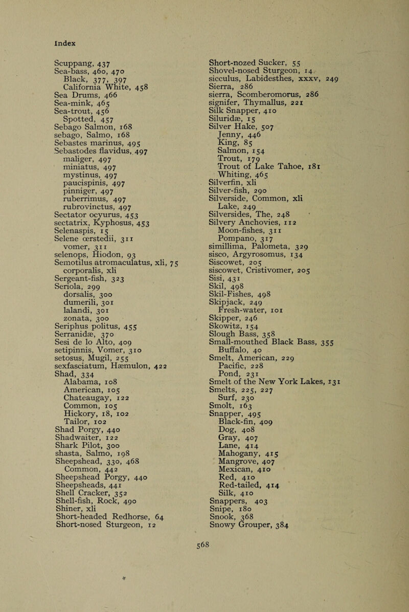 Scuppang, 437 Sea-bass, 460, 470 Black, 377, 397 California White, 458 Sea Drums, 466 Sea-mink, 465 Sea-trout, 456 Spotted, 457 Sebago Salmon, 168 sebago, Salmo, 168 Sebastes marinus, 495 Sebastodes flavidus, 497 maliger, 497 miniatus, 497 mystinus, 497 paucispinis, 497 pinniger, 497 ruberrimus, 497 rubrovinctus, 497 Sectator ocyurus, 453 sectatrix, Kyphosus, 453 Selenaspis, 15 Selene cerstedii, 311 vomer, 311 selenops, Hiodon, 93 Semotilus atromaculatus, xli, 75 corporalis, xli Sergeant-fish, 323 Seriola, 299 dorsalis, 300 dumerili, 301 lalandi, 301 zonata, 300 Seriphus politus, 455 Serranidae, 370 Sesi de lo Alto, 409 setipinnis, Vomer, 310 setosus, Mugil, 255 sexfasciatum, Haemulon, 422 Shad, 334 Alabama, 108 American, 105 Chateaugay, 122 Common, 105 Hickory, 18, 102 Tailor, 102 Shad Porgy, 440 Shadwaiter, 122 Shark Pilot, 300 shasta, Salmo, 198 Sheepshead, 330, 468 Common, 442 Sheepshead Porgy, 440 Sheepsheads, 441 Shell Cracker, 352 Shell-fish, Rock, 490 Shiner, xli Short-headed Redhorse, 64 Short-nosed Sturgeon, 12 Short-nozed Sucker, 55 Shovel-nosed Sturgeon, 14 sicculus, Labidesthes, xxxv, 249 Sierra, 286 sierra, Scomberomorus, 286 signifer, Thymallus, 221 Silk Snapper, 410 Siluridas, 15 Silver Hake, 507 Jenny, 446 King, 85 Salmon, 154 Trout, 179 Trout of Lake Tahoe, 181 Whiting, 465 Silverfin, xli Silver-fish, 290 Silverside, Common, xli Lake, 249 Silversides, The, 248 Silvery Anchovies, 112 Moon-fishes, 311 Pompano, 317 simillima, Palometa, 329 sisco, Argyrosomus, 134 Siscowet, 205 siscowet, Cristivomer, 205 Sisi, 431 Skil, 498 Skil-Fishes, 498 Skipjack, 249 Fresh-water, 101 Skipper, 246 Skowitz, 154 Slough Bass, 358 Small-mouthed Black Bass, 355 Buffalo, 40 Smelt, American, 229 Pacific, 228 Pond, 231 Smelt of the New York Lakes, 131 Smelts, 225, 227 Surf, 230 Smolt, 163 Snapper, 495 Black-fin, 409 Dog, 408 Gray, 407 Lane, 414 Mahogany, 415 Mangrove, 407 Mexican, 410 Red, 410 Red-tailed, 414 Silk, 410 Snappers, 403 Snipe, 180 Snook, 368 Snowy Grouper, 384