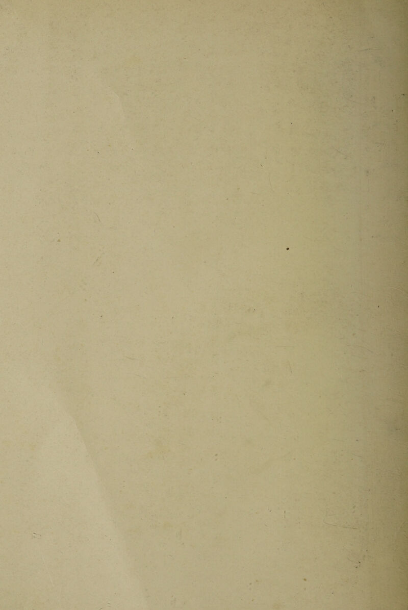 . V, Ml * % * - . - • , . - ■ ' ■ ■ ■ . vlpi • '■ -JsM .. ■ „ - rJ £SE . . . - . ■ _ * V . - * ' ' . \ <s - ' V # - - - ‘ • • . 1 > r ' „ ^  >*- ■ ■i