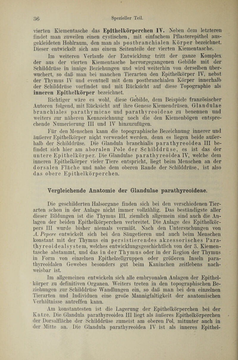 vierten Kiementasehe das Epithelkörperchen 1Y. Neben dem letzteren findet man zuweilen einen cystischen, mit einfachem Pflasterepithel aus¬ gekleideten Hohlraum, den man als postbranchialen Körper bezeichnet. Dieser entwickelt sich aus einem Seitenteile der vierten Kiementasche. Im weiteren Verlaufe der Entwicklung tritt der ganze Komplex der aus der vierten Kiementasche hervorgegangenen Gebilde mit der Schilddrüse in innige Beziehungen und wird weiterhin von derselben über¬ wuchert, so daß man bei manchen Tierarten den Epithelkörper IV, nebst der Thymus IV und eventuell mit dem postbranchialen Körper innerhalb der Schilddrüse vorfindet und mit Rücksicht auf diese Topographie als inneren Epithelkörper bezeichnet. Richtiger wäre es wohl, diese Gebilde, dem Beispiele französischer Autoren folgend, mit Rücksicht auf ihre Genese Kiemendrüsen, Glandulae branchiales parathymicae und parathyreoideae zu benennen und weiters zur näheren Kennzeichnung noch die den Kiemenbögen entspre¬ chende Numerierung III und IV hinzuzufügen. Für den Menschen kann die topographische Bezeichnung innerer und äußerer Epithelkörper nicht verwendet werden, denn es liegen beide außer¬ halb der Schilddrüse. Die Glandula branchialis parathyreoidea III be¬ findet sich hier am aboralen Pole der Schilddrüse, es ist das der untere Epithelkörper. Die Glandulae parathyreoidea IV, welche dem inneren Epithelkörper vieler Tiere entspricht, liegt beim Menschen an der dorsalen Fläche und nahe dem oberen Rande der Schilddrüse, ist also das obere Epithelkörperchen. Vergleichende Anatomie der Glandulae parathyreoideae. Die geschilderten Halsorgane finden sich bei den verschiedenen Tier¬ arten schon in der Anlage nicht immer vollzählig. Das beständigste aller dieser Bildungen ist die Thymus III, ziemlich allgemein sind auch die An¬ lagen der beiden Epithelkörperchen verbreitet. Die Anlage des Epithelkör¬ pers III wurde bisher niemals vermißt. Nach den Untersuchungen von A. Pepere entwickelt sich bei den Säugetieren und auch beim Menschen konstant mit der Thymus ein persistierendes akzessorisches Para- thyreoidealsystem, welches entwicklungsgeschichtlich von der 3. Kiemen¬ tasche abstammt, und das in der Thymus oder in der Region der Thymus in Form von einzelnen Epithelzellgruppen oder größeren Inseln para- thyreoidalen Gewebes besonders gut beim Kaninchen zeitlebens nach¬ weisbar ist. Im allgemeinen entwickeln sich alle embryonalen Anlagen der Epithel¬ körper zu definitiven Organen. Weiters treten in den topographischen Be¬ ziehungen zur Schilddrüse Wandlungen ein, so daß man bei den einzelnen Tierarten und Individuen eine große Mannigfaltigkeit der anatomischen Verhältnisse an treffen kann. Am konstantesten ist die Lagerung der Epithelkörperchen bei der Katze. Die Glandula parathyreoidea III liegt als äußeres Epithelkörperchen der Dorsalfläche der Schilddrüse zumeist am oberen Pol, mitunter auch in der Mitte an. Die Glandula parathyreoidea IV ist als inneres Epithel-