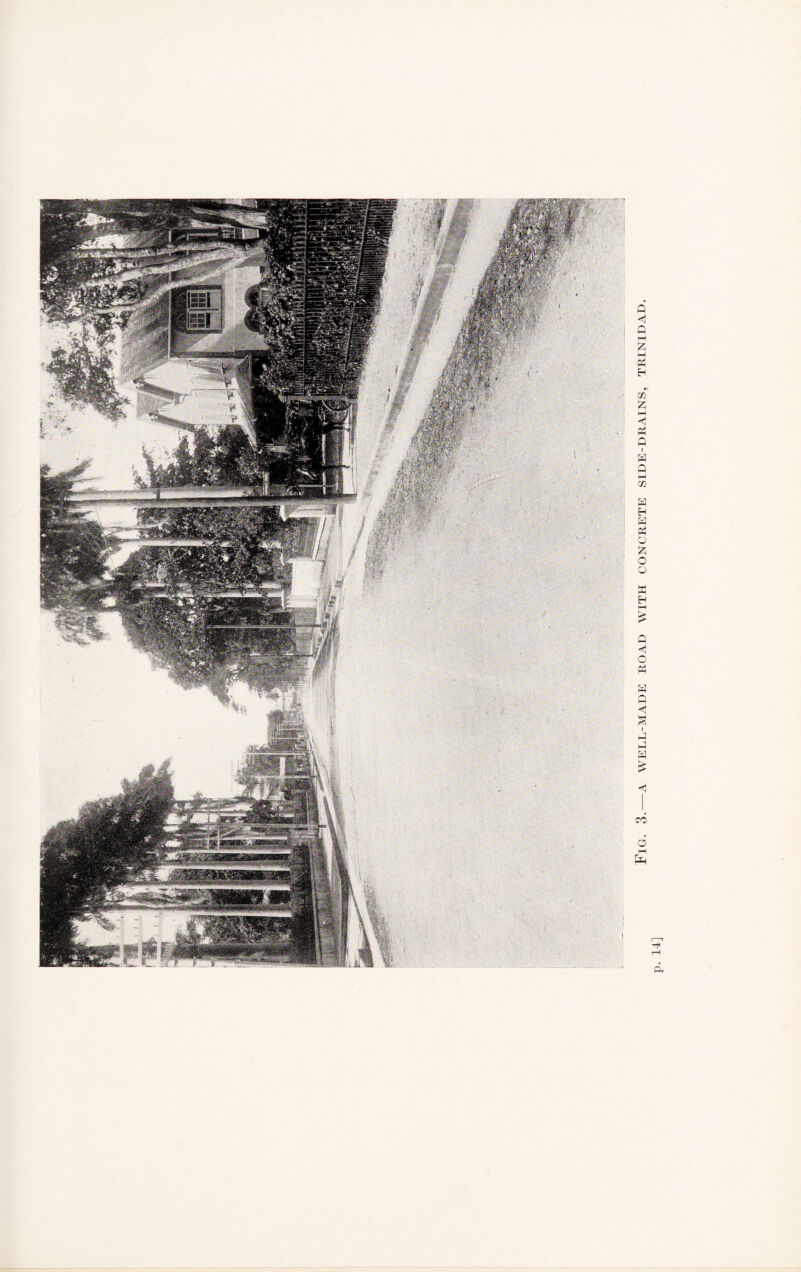 Fig. 3.—a well-made road with concrete side-drains, trinidad.