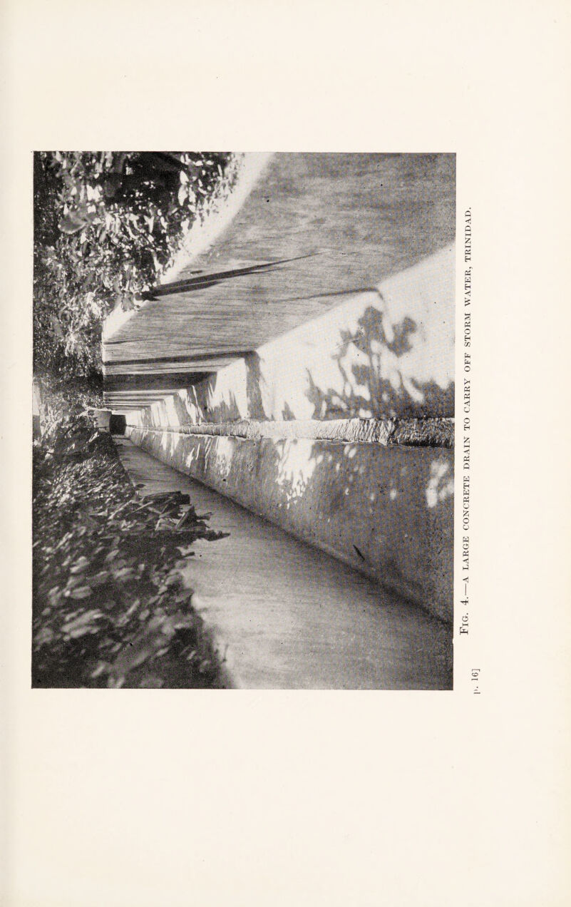 Fig. 4.—a large concrete drain to carry off storm water, trinidad.