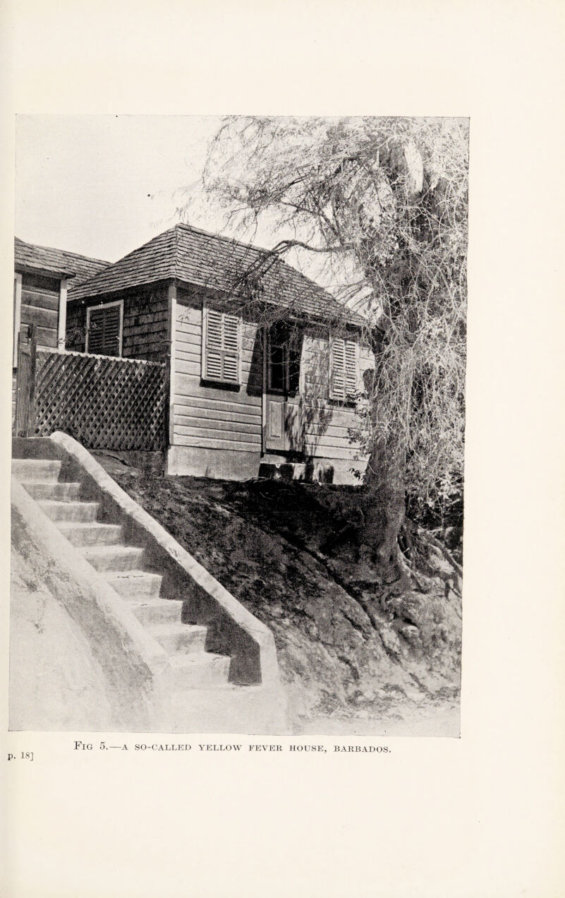 P. 18] Fig 5.—a so-called yellow fever house, Barbados