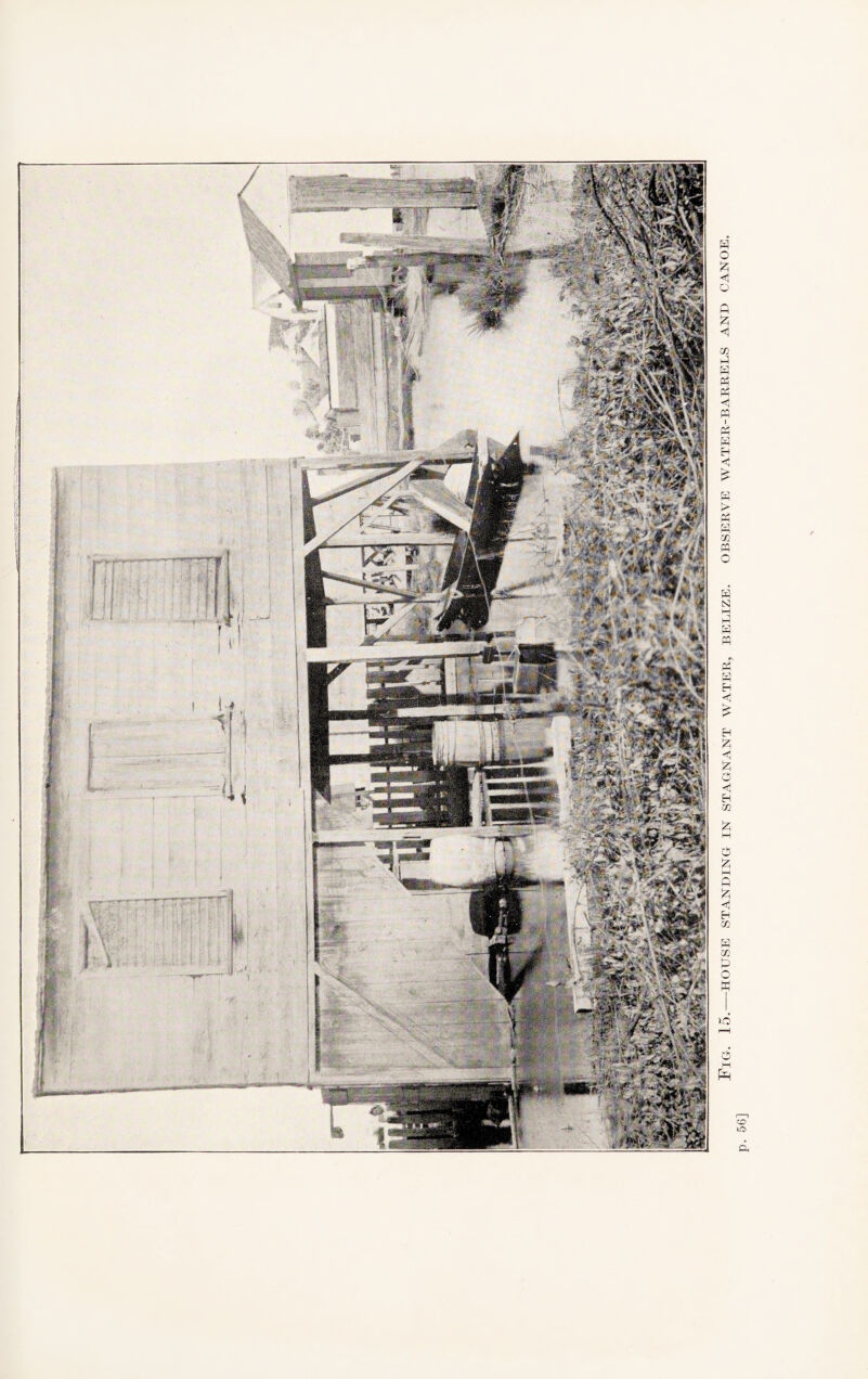 Fig. 15.—house standing in stagnant water, Belize, observe water-barrels and canoe.