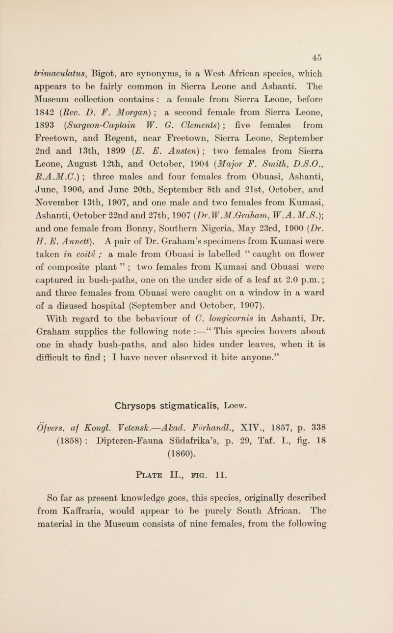 trimaculatus, Bigot, are synonyms, is a West African species, which appears to be fairly common in Sierra Leone and Ashanti. The Museum collection contains : a female from Sierra Leone, before 1842 (Rev. D. F. Morgan) ; a second female from Sierra Leone, 1893 (Surgeon-Captain W. G. Clements) ; five females from Freetown, and Regent, near Freetown, Sierra Leone, September 2nd and 13th, 1899 (E. E. Austen) ; two females from Sierra Leone, August 12th, and October, 1904 (Major F. Smith, D.S.O., R.A.M.C.) ; three males and four females from Obuasi, Ashanti, June, 1906, and June 20th, September 8th and 21st, October, and November 13th, 1907, and one male and two females from Kumasi, Ashanti, October 22nd and 27th, 1907 (Dr.W.M.Graham, W.A.M.S.)', and one female from Bonny, Southern Nigeria, May 23rd, 1900 (Dr. H. E. Annett). A pair of Dr. Graham’s specimens from Kumasi were taken in coitu ; a male from Obuasi is labelled “ caught on flower of composite plant ” ; two females from Kumasi and Obuasi were captured in bush-paths, one on the under side of a leaf at 2.0 p.m.; and three females from Obuasi were caught on a window in a ward of a disused hospital (September and October, 1907). With regard to the behaviour of C. longicornis in Ashanti, Dr. Graham supplies the following note :—“ This species hovers about one in shady bush-paths, and also hides under leaves, when it is difficult to find ; I have never observed it bite anyone.” Chrysops stigmaticalis, Loew. Of vers, af Kongl. Vetensk.—Akad. Forhandl., XIV., 1857, p. 338 (1858) : Dipteren-Fauna Siidafrika’s, p. 29, Taf. I., fig. 18 (1860). Plate II., fig. 11. So far as present knowledge goes, this species, originally described from Kaffraria, would appear to be purely South African. The material in the Museum consists of nine females, from the following