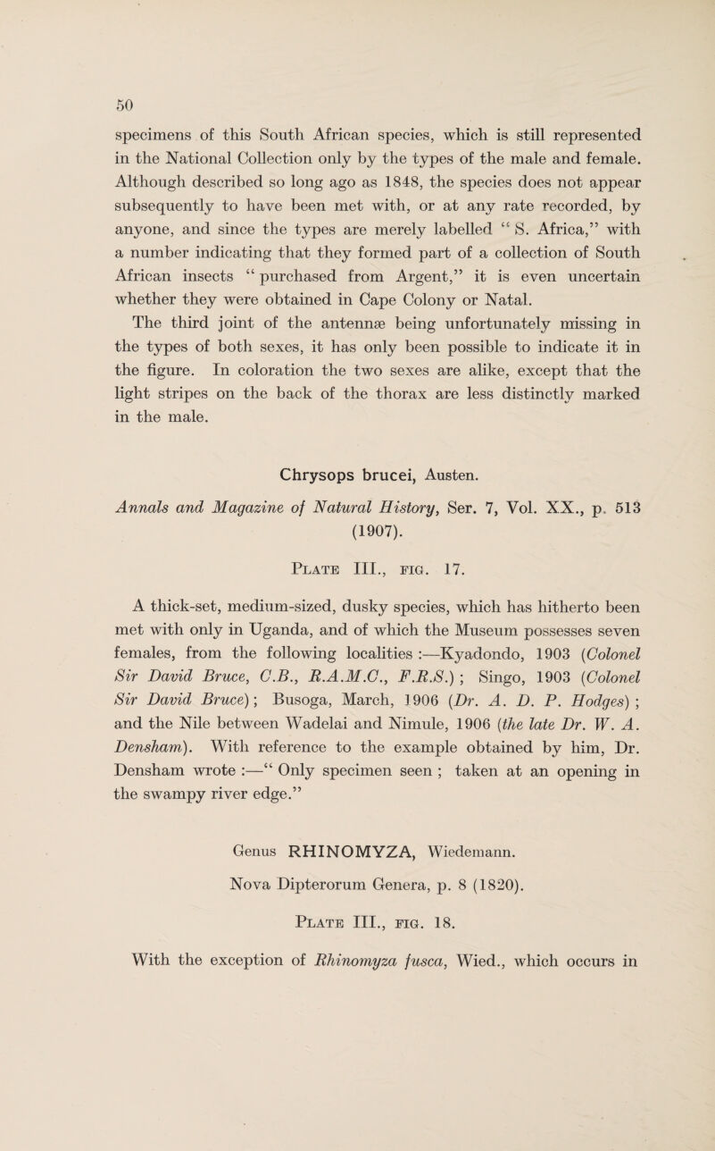 specimens of this South African species, which is still represented in the National Collection only by the types of the male and female. Although described so long ago as 1848, the species does not appear subsequently to have been met with, or at any rate recorded, by anyone, and since the types are merely labelled “ S. Africa,” with a number indicating that they formed part of a collection of South African insects “ purchased from Argent,” it is even uncertain whether they were obtained in Cape Colony or Natal. The third joint of the antennae being unfortunately missing in the types of both sexes, it has only been possible to indicate it in the figure. In coloration the two sexes are alike, except that the light stripes on the back of the thorax are less distinctly marked in the male. Chrysops brucei, Austen. Annals and Magazine of Natural History, Ser. 7, Vol. XX., p. 513 (1907). Plate III., fig. 17. A thick-set, medium-sized, dusky species, which has hitherto been met with only in Uganda, and of which the Museum possesses seven females, from the following localities :—Kyadondo, 1903 (Colonel Sir David Bruce, G.B., R.A.M.G., F.B.S.) ; Singo, 1903 (Colonel Sir David Bruce); Busoga, March, 1906 (Dr. A. D. P. Hodges) ; and the Nile between Wadelai and Nimule, 1906 (the late Dr. W. A. Densham). With reference to the example obtained by him, Dr. Densham wrote :—“ Only specimen seen ; taken at an opening in the swampy river edge.” Genus RHINOMYZA, Wiedemann. Nova Dipterorum Genera, p. 8 (1820). Plate III., fig. 18. With the exception of Rhinomyza fusca, Wied., which occurs in