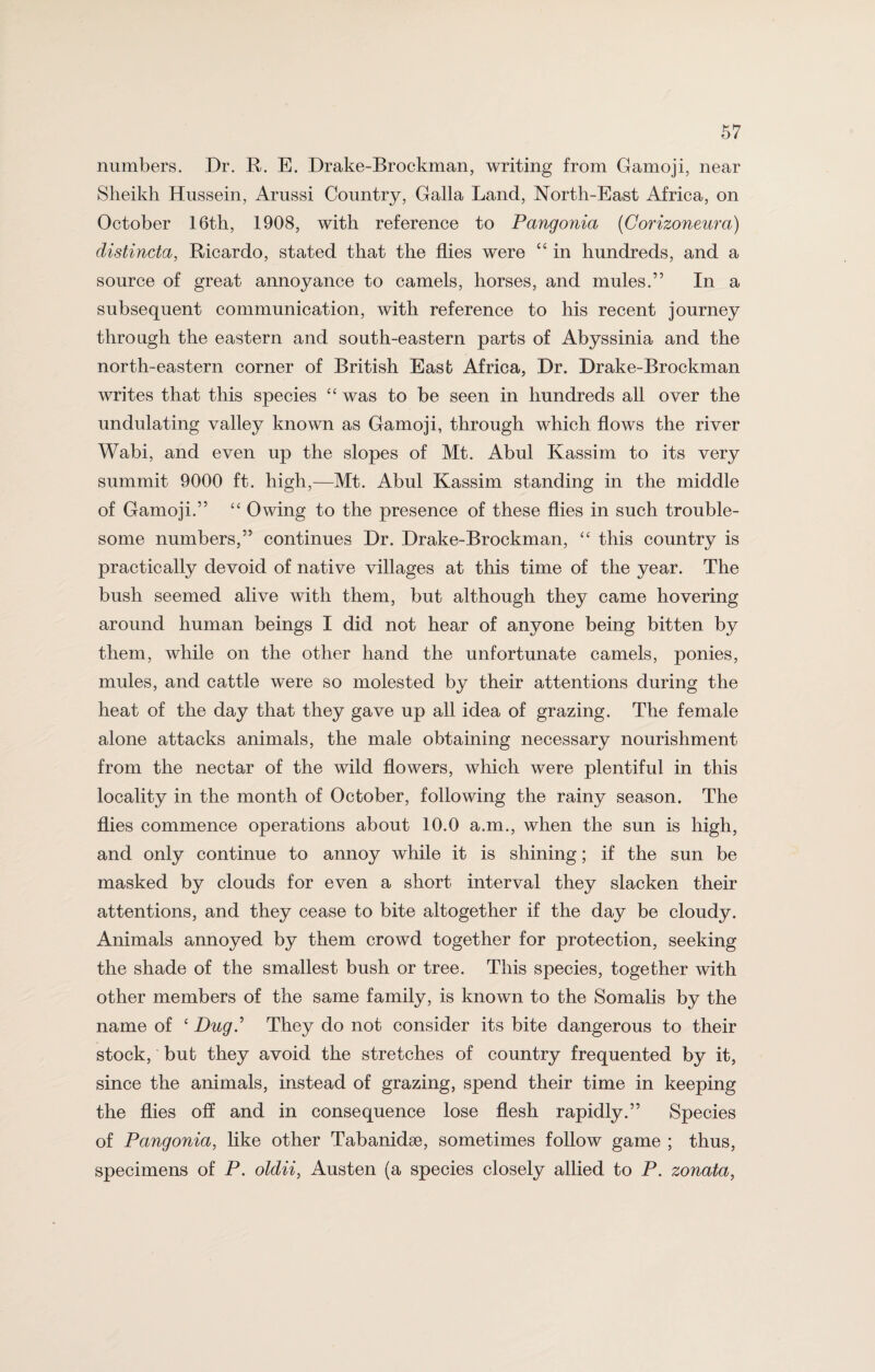 numbers. Dr. R. E. Drake-Brockman, writing from Gamoji, near Sheikh Hussein, Arussi Country, Galla Land, North-East Africa, on October 16th, 1908, with reference to Pangonia (Corizoneura) distincta, Ricardo, stated that the flies were “ in hundreds, and a source of great annoyance to camels, horses, and mules.” In a subsequent communication, with reference to his recent journey through the eastern and south-eastern parts of Abyssinia and the north-eastern corner of British East Africa, Dr. Drake-Brockman writes that this species “ was to be seen in hundreds all over the undulating valley known as Gamoji, through which flows the river Wabi, and even up the slopes of Mt. Abul Kassim to its very summit 9000 ft. high,—Mt. Abul Kassim standing in the middle of Gamoji.” “ Owing to the presence of these flies in such trouble¬ some numbers,” continues Dr. Drake-Brockman, “ this country is practically devoid of native villages at this time of the year. The bush seemed alive with them, but although they came hovering around human beings I did not hear of anyone being bitten by them, while on the other hand the unfortunate camels, ponies, mules, and cattle were so molested by their attentions during the heat of the day that they gave up all idea of grazing. The female alone attacks animals, the male obtaining necessary nourishment from the nectar of the wild flowers, which were plentiful in this locality in the month of October, following the rainy season. The flies commence operations about 10.0 a.m., when the sun is high, and only continue to annoy while it is shining; if the sun be masked by clouds for even a short interval they slacken their attentions, and they cease to bite altogether if the day be cloudy. Animals annoyed by them crowd together for protection, seeking the shade of the smallest bush or tree. This species, together with other members of the same family, is known to the Somalis by the name of ‘ Dug.’ They do not consider its bite dangerous to their stock, but they avoid the stretches of country frequented by it, since the animals, instead of grazing, spend their time in keeping the flies off and in consequence lose flesh rapidly.” Species of Pangonia, like other Tabanidse, sometimes follow game ; thus, specimens of P. oldii, Austen (a species closely allied to P. zonata,