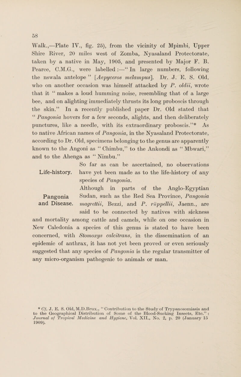 Walk.,—Plate IV., fig. 25), from the vicinity of Mpimbi, Upper Shire River, 20 miles west of Zomba, Nyasaland Protectorate, taken by a native in May, 1905, and presented by Major F. B. Pearce, C.M.G., were labelled :—“ In large numbers, following the nswala antelope 55 \Aepyceros melampus]. Dr. J. E. S. Old, who on another occasion was himself attacked by P. oldii, wrote that it “ makes a loud humming noise, resembling that of a large bee, and on alighting immediately thrusts its long proboscis through the skin.” In a recently published paper Dr. Old stated that “ Pangonia hovers for a few seconds, alights, and then deliberately punctures, like a needle, with its extraordinary proboscis.”* As to native African names of Pangonia, in the Nyasaland Protectorate, according to Dr. Old, specimens belonging to the genus are apparently known to the Angoni as “ Chimbu,” to the Ankondi as “ Mbwari,” and to the Ahenga as “ Nimbu.” So far as can be ascertained, no observations Life-history, have yet been made as to the life-history of any species of Pangonia. Although in parts of the Anglo-Egyptian Pangonia Sudan, such as the Red Sea Province, Pangonia and Disease, magrettii, Bezzi, and P. riippellii, Jaenn., are said to be connected by natives with sickness and mortality among cattle and camels, while on one occasion in New Caledonia a species of this genus is stated to have been concerned, with Stomoxys calcitrans, in the dissemination of an epidemic of anthrax, it has not yet been proved or even seriously suggested that any species of Pangonia is the regular transmitter of any micro-organism pathogenic to animals or man. * Cf. J. E. S. Old, M.D.Brux., “ Contribution to the Study of Trypanosomiasis and to the Geographical Distribution of Some of the Blood-Sucking Insects, Etc.” : Journal of Tropical Medicine and Hygiene, Vol. XII., No. 2, p. 20 (January 15 1909).