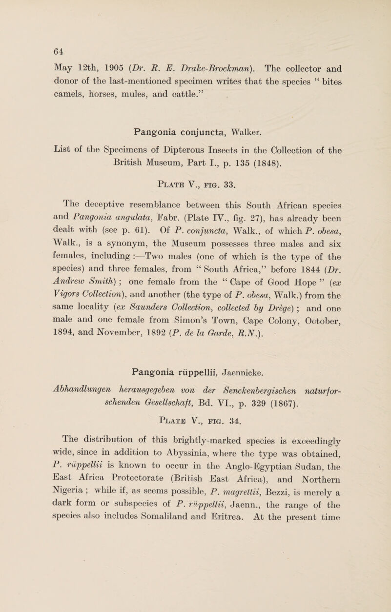 May 12th, 1905 (Dr. B. E. DraJce-BrocJcman). The collector and donor of the last-mentioned specimen writes that the species “ bites camels, horses, mules, and cattle.” Pangonia conjuncta, Walker. List of the Specimens of Dipterous Insects in the Collection of the British Museum, Part I., p. 135 (1848). Plate V., fig. 33. The deceptive resemblance between this South African species and Pangonia angulata, Fabr. (Plate IV., fig. 27), has already been dealt with (see p. 61). Of P. conjuncta, Walk., of which P. obesa, Walk., is a synonym, the Museum possesses three males and six females, including :—Two males (one of which is the type of the species) and three females, from “ South Africa,” before 1844 (Dr. Andrew Smith) ; one female from the “ Cape of Good Hope ” (ex Vigors Collection), and another (the type of P. obesa, Walk.) from the same locality (ex Saunders Collection, collected by Drege) ; and one male and one female from Simon’s Town, Cape Colony, October, 1894, and November, 1892 (P. de la Garde, B.N.). Pangonia riippellii, Jaennicke. Abhandlungen herausgegeben von der Senckenbergischen naturfor- schenden Gesellschaft, Bd. VI., p. 329 (1867). Plate V., fig. 34. The distribution of this brightly-marked species is exceedingly wide, since in addition to Abyssinia, where the type was obtained, P. riippellii is known to occur in the Anglo-Egyptian Sudan, the East Africa Protectorate (British East Africa), and Northern Nigeria ; while if, as seems possible, P. magrettii, Bezzi, is merely a dark form or subspecies of P. riippellii, Jaenn., the range of the species also includes Somaliland and Eritrea. At the present time