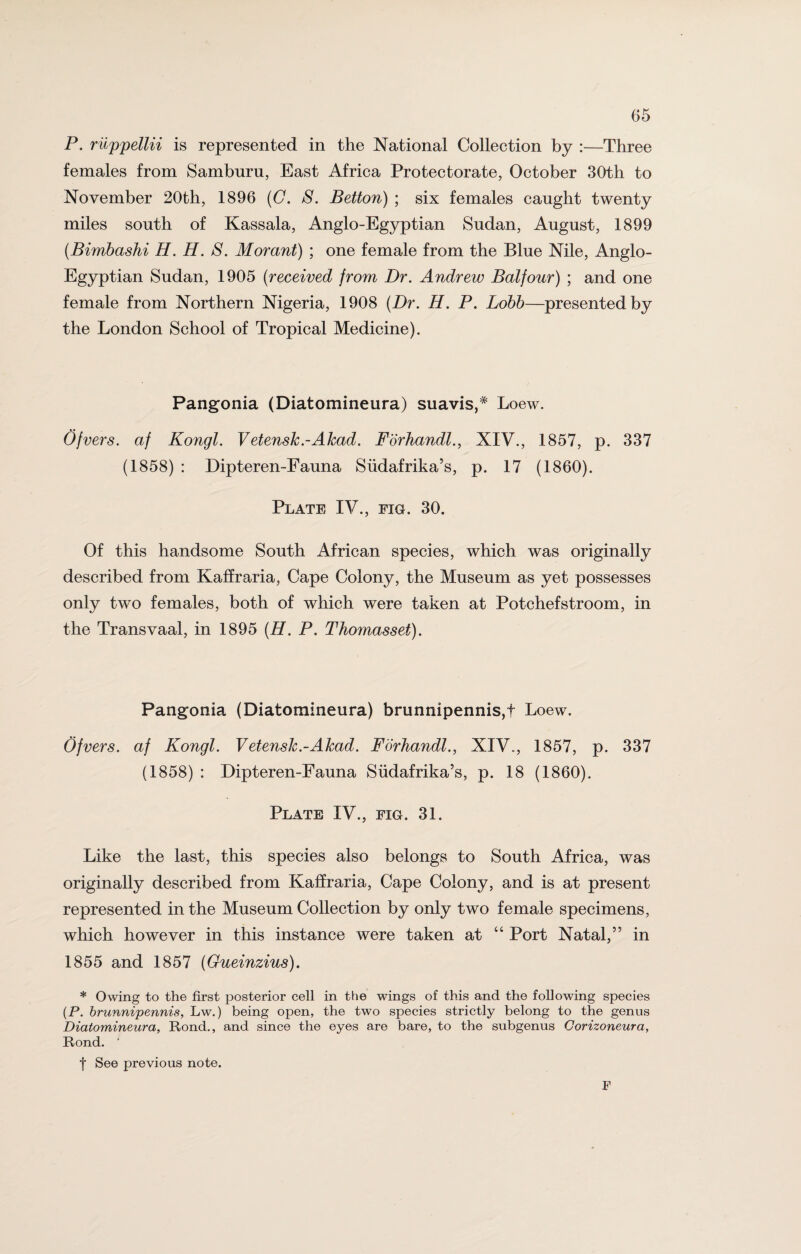 P. riippeUii is represented in the National Collection by :—Three females from Samburu, East Africa Protectorate, October 30th to November 20th, 1896 (G. S. Betton) ; six females caught twenty miles south of Kassala, Anglo-Egyptian Sudan, August, 1899 (Bimbashi H. H. S. Morant) ; one female from the Blue Nile, Anglo- Egyptian Sudan, 1905 (received from Dr. Andrew Balfour) ; and one female from Northern Nigeria, 1908 {Dr. H. P. Lobb—presented by the London School of Tropical Medicine). Pangonia (Diatomineura) suavis,# Loew. Ofvers. af Kongl. Vetensk.-Akad. Fbrhandl., XIV., 1857, p. 337 (1858) : Dipteren-Fauna Siidafrika’s, p. 17 (1860). Plate IV., fig. 30. Of this handsome South African species, which was originally described from Kaffraria, Cape Colony, the Museum as yet possesses only two females, both of which were taken at Potchefstroom, in the Transvaal, in 1895 (H. P. Thomasset). Pangonia (Diatomineura) brunnipennis,t Loew. Ofvers. af Kongl. Vetensk.-Alcad. Fbrhandl., XIV., 1857, p. 337 (1858) : Dipteren-Fauna Siidafrika’s, p. 18 (1860). Plate IV., eig. 31. Like the last, this species also belongs to South Africa, was originally described from Kaffraria, Cape Colony, and is at present represented in the Museum Collection by only two female specimens, which however in this instance were taken at “ Port Natal,” in 1855 and 1857 (Gueinzius). * Owing to the first posterior cell in the wings of this and the following species (P. brunnipennis, Lw.) being open, the two species strictly belong to the genus Diatomineura, Rond., and since the eyes are bare, to the subgenus Corizoneura, Rond. ' f See previous note. F