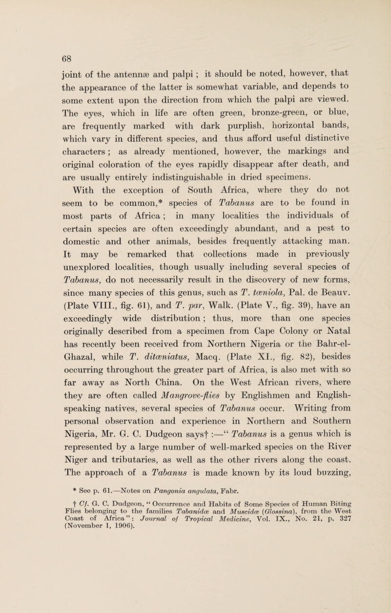 joint of the antennae and palpi; it should be noted, however, that the appearance of the latter is somewhat variable, and depends to some extent upon the direction from which the palpi are viewed. The eyes, which in life are often green, bronze-green, or blue, are frequently marked with dark purplish, horizontal bands, which vary in different species, and thus afford useful distinctive characters; as already mentioned, however, the markings and original coloration of the eyes rapidly disappear after death, and are usually entirely indistinguishable in dried specimens. With the exception of South Africa, where they do not seem to be common,* species of Tabanus are to be found in most parts of Africa ; in many localities the individuals of certain species are often exceedingly abundant, and a pest to domestic and other animals, besides frequently attacking man. It may be remarked that collections made in previously unexplored localities, though usually including several species of Tabanus, do not necessarily result in the discovery of new forms, since many species of this genus, such as T. tceniola, Pal. de Beauv. (Plate VIII., fig. 61), and T. par, Walk. (Plate V., fig. 39), have an exceedingly wide distribution; thus, more than one species originally described from a specimen from Cape Colony or Natal has recently been received from Northern Nigeria or the Bahr-el- Ghazal, while T. ditceniatus, Macq. (Plate XI., fig. 82), besides occurring throughout the greater part of Africa, is also met with so far away as North China. On the West African rivers, where they are often called Mangrove-flies by Englishmen and English- speaking natives, several species of Tabanus occur. Writing from personal observation and experience in Northern and Southern Nigeria, Mr. G. C. Dudgeon saysf :—“ Tabanus is a genus which is represented by a large number of well-marked species on the River Niger and tributaries, as well as the other rivers along the coast. The approach of a Tabanus is made known by its loud buzzing, * See p. 61.—Notes on Pangonia angulata, Fabr. f Cf. G. C. Dudgeon, “ Occurrence and Habits of Some Species of Human Biting Flies belonging to the families Tabanidce and Muscidce (Glossina), from the West Coast of Africa”: Journal of Tropical Medicine, Vol. IX., No. 21, p. 327 (November 1, 1906).
