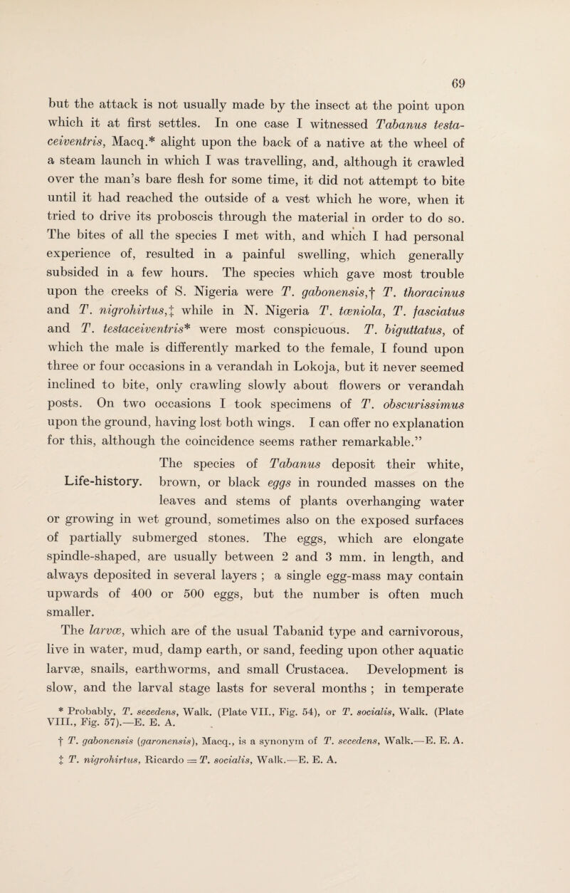 but the attack is not usually made by the insect at the point upon which it at first settles. In one case I witnessed Tabanus testa- ceiventris, Macq.* alight upon the back of a native at the wheel of a steam launch in which I was travelling, and, although it crawled over the man’s bare flesh for some time, it did not attempt to bite until it had reached the outside of a vest which he wore, when it tried to drive its proboscis through the material in order to do so. The bites of all the species I met with, and which I had personal experience of, resulted in a painful swelling, which generally subsided in a few hours. The species which gave most trouble upon the creeks of S. Nigeria were T. gabonensis,f T. thoracinus and T. nigrohirtus,% while in N. Nigeria T. tceniola, T. fasciatus and T. testaceiventris* were most conspicuous. T. biguttatus, of which the male is differently marked to the female, I found upon three or four occasions in a verandah in Lokoja, but it never seemed inclined to bite, only crawling slowly about flowers or verandah posts. On two occasions I took specimens of T. obscurissimus upon the ground, having lost both wings. I can offer no explanation for this, although the coincidence seems rather remarkable.” The species of Tabanus deposit their white, Life-history, brown, or black eggs in rounded masses on the leaves and stems of plants overhanging water or growing in wet ground, sometimes also on the exposed surfaces of partially submerged stones. The eggs, which are elongate spindle-shaped, are usually between 2 and 3 mm. in length, and always deposited in several layers ; a single egg-mass may contain upwards of 400 or 500 eggs, but the number is often much smaller. The larvce, which are of the usual Tabanid type amd carnivorous, live in water, mud, damp earth, or sand, feeding upon other aquatic larvae, snails, earthworms, and small Crustacea. Development is slow, and the larval stage lasts for several months ; in temperate * Probably, T. secedens, Walk. (Plate VII., Fig. 54), or T. socialis, Walk. (Plate VIII., Fig. 57).—E. E. A. f T. gabonensis (garonensis), Macq., is a synonym of T. secedens. Walk.—E. E. A. J T. nigrohirtus, Ricardo = T. socialis, Walk.—E. E. A.