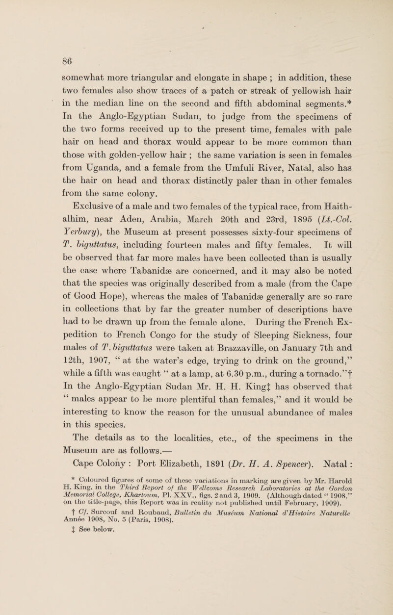 somewhat more triangular and elongate in shape ; in addition, these two females also show traces of a patch or streak of yellowish hair in the median line on the second and fifth abdominal segments.* In the Anglo-Egyptian Sudan, to judge from the specimens of the two forms received up to the present time, females with pale hair on head and thorax would appear to be more common than those with golden-yellow hair ; the same variation is seen in females from Uganda, and a female from the Umfuli River, Natal, also has the hair on head and thorax distinctly paler than in other females from the same colony. Exclusive of a male and two females of the typical race, from Haith- alhim, near Aden, Arabia, March 20th and 23rd, 1895 [Lt.-Col. Yerbury), the Museum at present possesses sixty-four specimens of T. biguttatus, including fourteen males and fifty females. It will be observed that far more males have been collected than is usually the case where Tabanidse are concerned, and it may also be noted that the species was originally described from a male (from the Cape of Good Hope), whereas the males of Tabanidae generally are so rare in collections that by far the greater number of descriptions have had to be drawn up from the female alone. During the French Ex¬ pedition to French Congo for the study of Sleeping Sickness, four males of T. biguttatus were taken at Brazzaville, on January 7th and 12th, 1907, “ at the water’s edge, trying to drink on the ground,” while a fifth was caught “ at a lamp, at 6.30 p.m., during a tornado.”f In the Anglo-Egyptian Sudan Mr. H. H. Kingf has observed that “ males appear to be more plentiful than females,” and it would be interesting to know the reason for the unusual abundance of males in this species. The details as to the localities, etc., of the specimens in the Museum are as follows.— Cape Colony : Port Elizabeth, 1891 {Dr. II. A. Spencer). Natal : * Coloured figures of some of these variations in marking are given by Mr. Harold H. King, in the Third Report of the Wellcome Research Laboratories at the Gordon Memorial College, Khartoum, PI. XXV., figs. 2 and 3, 1909. (Althoughdated “ 1908,” on the title-page, this Report was in reality not published until February, 1909). t Of. Surcouf and Roubaud, Bulletin du Museum National dfUistoire Naturelle Annee 1908, No. 5 (Paris, 1908). t See below.