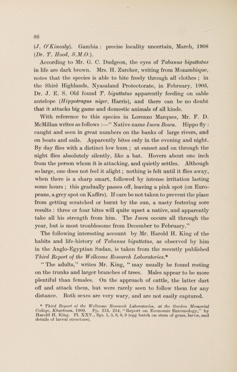 (J. O’Kinealy). Gambia : precise locality uncertain, March, 1908 (Dr. T. Hood, S.M.O.). According to Mr. G. C. Dudgeon, the eyes of Tabanus biguttatus in life are dark brown. Mrs. H. Zurcher, writing from Mozambique, notes that the species is able to bite freely through all clothes ; in the Shire Highlands, Nyasaland Protectorate, in February, 1905, Dr. J. E. S. Old found T. biguttatus apparently feeding on sable antelope (Hippotragus niger, Harris), and there can be no doubt that it attacks big game and domestic animals of all kinds. With reference to this species in Lorenzo Marques, Mr. F. D. McMillan writes as follows :—“ Native name Imvu Bowu. Hippo fly : caught and seen in great numbers on the banks of large rivers, and on boats and sails. Apparently bites only in the evening and night. By day flies with a distinct low hum ; at sunset and on through the night flies absolutely silently, like a bat. Hovers about one inch from the person whom it is attacking, and quietly settles. Although so large, one does not feel it alight; nothing is felt until it flies away, when there is a sharp smart, followed by intense irritation lasting some hours ; this gradually passes off, leaving a pink spot (on Euro¬ peans, a grey spot on Kaffirs). If care be not taken to prevent the place from getting scratched or burnt by the sun, a nasty festering sore results : three or four bites will quite upset a native, and apparently take all his strength from him. The Imvu occurs all through the year, but is most troublesome from December to February.” The following interesting account by Mr. Harold H. King of the habits and life-history of Tabanus biguttatus, as observed by him in the Anglo-Egyptian Sudan, is taken from the recently published Third Report of the Wellcome Research Laboratories * “ The adults,” writes Mr. King, “ may usually be found resting on the trunks and larger branches of trees. Males appear to be more plentiful than females. On the approach of cattle, the latter dart off and attack them, but were rarely seen to follow them for any distance. Both sexes are very wary, and are not easily captured. * Third Report of the Wellcome Research Laboratories, at the Gordon Memorial College, Khartoum, 1909. Pp. 213, 214, “Report on Economic Entomology,” by Harold H. King. PI. XXV., figs. 1, 5, 6, 8, 9 (egg-batch on stem of grass, larvae, and details of larval structure).