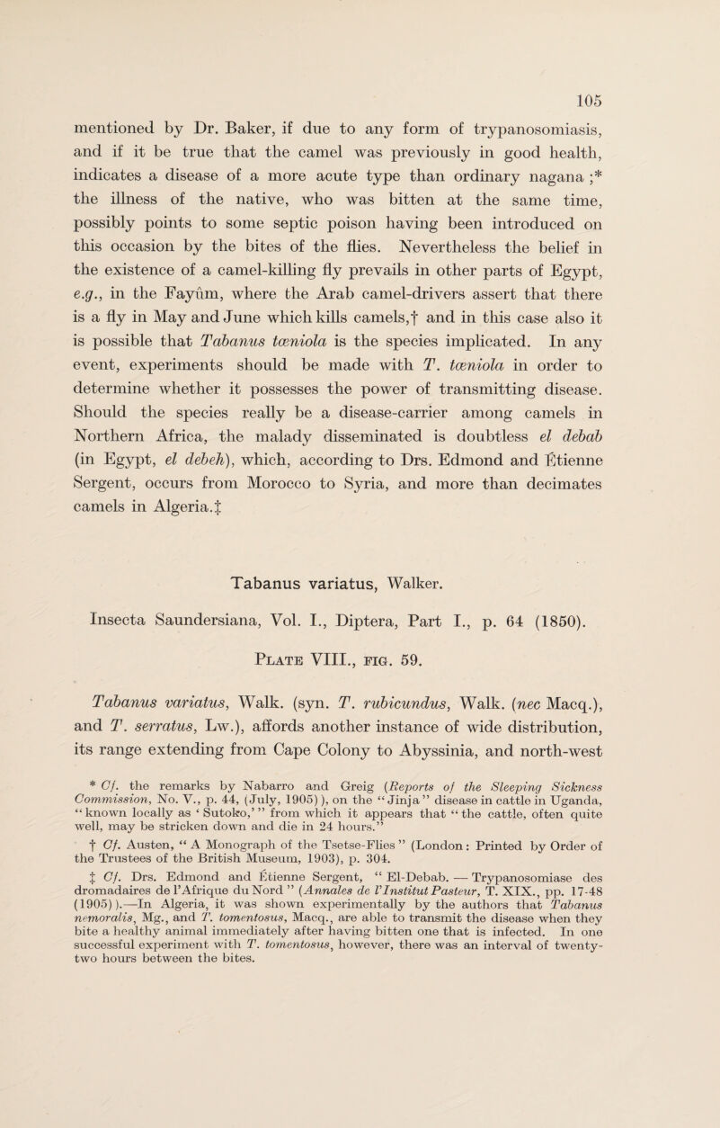 mentioned by Dr. Baker, if due to any form of trypanosomiasis, and if it be true that the camel was previously in good health, indicates a disease of a more acute type than ordinary nagana ;* the illness of the native, who was bitten at the same time, possibly points to some septic poison having been introduced on this occasion by the bites of the flies. Nevertheless the belief in the existence of a camel-killing fly prevails in other parts of Egypt, e.g., in the Fayum, where the Arab camel-drivers assert that there is a fly in May and June which kills camels,f and in this case also it is possible that Tabanus tceniola is the species implicated. In any event, experiments should be made with T. tceniola in order to determine whether it possesses the power of transmitting disease. Should the species really be a disease-carrier among camels in Northern Africa, the malady disseminated is doubtless el debab (in Egypt, el debeh), which, according to Drs. Edmond and Etienne Sergent, occurs from Morocco to Syria, and more than decimates camels in Algeria.% Tabanus variatus, Walker. Insecta Saundersiana, Vol. I., Diptera, Part I., p. 64 (1850). Plate VIII., fig. 59. Tabanus variatus, Walk. (syn. T. rubicundus, Walk. (nee Macq.), and T. serratus, Lw.), affords another instance of wide distribution, its range extending from Cape Colony to Abyssinia, and north-west * Cf. the remarks by Nabarro and Greig (Reports of the Sleeping Sickness Commission, No. V., p. 44, (July, 1905)), on the “ Jinja ” disease in cattle in Uganda, “known locally as ‘ Sutoko,’” from which it appears that “the cattle, often quite well, may be stricken down and die in 24 hours.” f Cf. Austen, “ A Monograph of the Tsetse-Flies ” (London: Printed by Order of the Trustees of the British Museum, 1903), p. 304. J Cf. Drs. Edmond and Etienne Sergent, “ El-Debab. — Trypanosomiase des dromadaires de l’Afrique duNord ” (Annales de VI ns titut Pasteur, T. XIX., pp. 17-48 (1905)).—In Algeria, it was shown experimentally by the authors that Tabanus nemoralis, Mg., and T. tomentosus, Macq., are able to transmit the disease when they bite a healthy animal immediately after having bitten one that is infected. In one successful experiment with T. tomentosus, however, there was an interval of twenty- two hours between the bites.