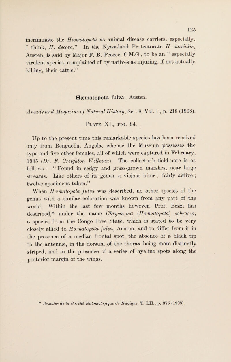 incriminate the Hcematopota as animal disease carriers, especially, I think, H. decora.” In the Nyasaland Protectorate H. noxialis, Austen, is said by Major F. B. Pearce, C.M.G., to be an “ especially virulent species, complained of by natives as injuring, if not actually killing, their cattle.” Haematopota fulva, Austen. Annals and Magazine of Natural History, Ser. 8, Vol. I., p. 218 (1908). Plate XI., fig. 84. Up to the present time this remarkable species has been received only from Benguella, Angola, whence the Museum possesses the type and five other females, all of which were captured in February, 1905 (Dr. F. Creighton Wellman). The collector’s field-note is as follows :—“ Found in sedgy and grass-grown marshes, near large streams. Like others of its genus, a vicious biter ; fairly active ; twelve specimens taken.” When Hcematopota fulva was described, no other species of the genus with a similar coloration was known from any part of the world. Within the last few months however, Prof. Bezzi has described,* under the name Chrysozona (Hcematopota) ochracea, a species from the Congo Free State, which is stated to be very closely allied to Hcematopota fulva, Austen, and to differ from it in the presence of a median frontal spot, the absence of a black tip to the antennae, in the dorsum of the thorax being more distinctly striped, and in the presence of a series of hyaline spots along the posterior margin of the wings. * Annates de la Societe Entomologique de Belgique, T. LII., p. 375 (1908).