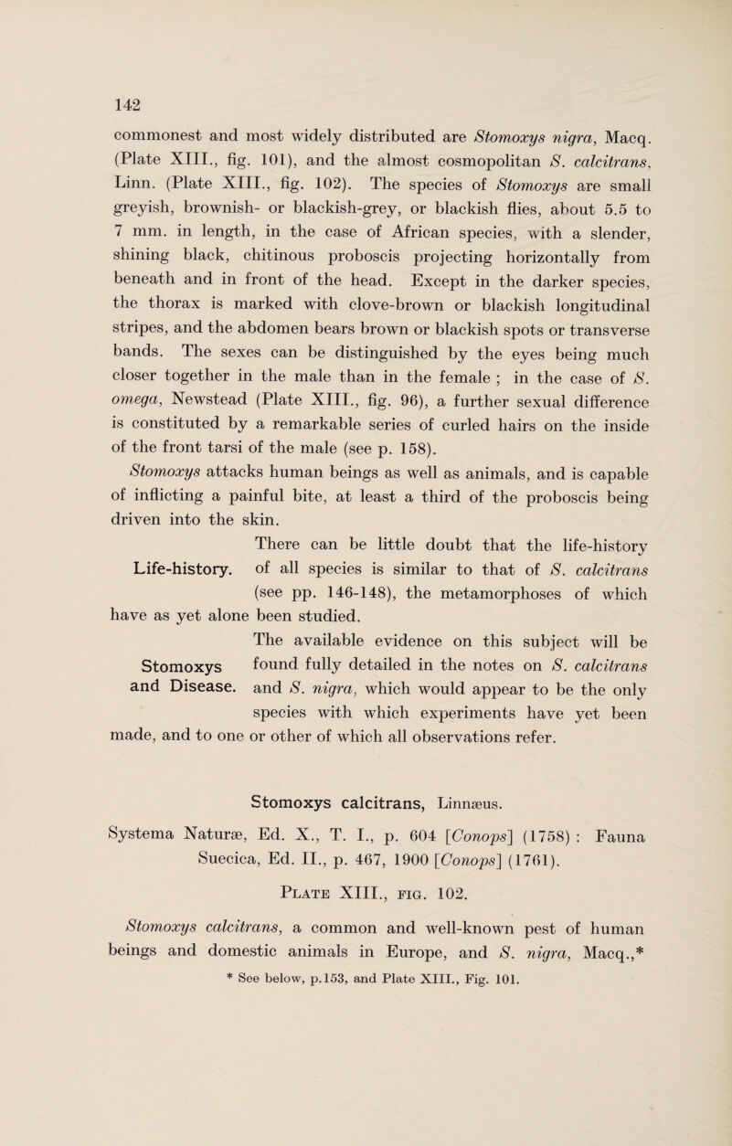 commonest and most widely distributed are Stomoxys nigra, Macq. (Plate XIII., fig. 101), and the almost cosmopolitan S. calcitrans, Linn. (Plate XIII., fig. 102). The species of Stomoxys are small greyish, brownish- or blackish-grey, or blackish flies, about 5.5 to 7 mm. in length, in the case of African species, with a slender, shining black, chitinous proboscis projecting horizontally from beneath and in front of the head. Except in the darker species, the thorax is marked with clove-brown or blackish longitudinal stripes, and the abdomen bears brown or blackish spots or transverse bands. The sexes can be distinguished by the eyes being much closer together in the male than in the female ; in the case of S. omega, Newstead (Plate XIII., fig. 96), a further sexual difference is constituted by a remarkable series of curled hairs on the inside of the front tarsi of the male (see p. 158). Stomoxys attacks human beings as well as animals, and is capable of inflicting a painful bite, at least a third of the proboscis being driven into the skin. There can be little doubt that the life-history Life-history, of all species is similar to that of S. calcitrans (see pp. 146-148), the metamorphoses of which have as yet alone been studied. The available evidence on this subject will be Stomoxys found fully detailed in the notes on S. calcitrans and Disease, and S. nigra, which would appear to be the only species with which experiments have yet been made, and to one or other of which all observations refer. Stomoxys calcitrans, Linnaeus. Systema Naturae, Ed. X., T. I., p. 604 [Conops] (1758) : Fauna Suecica, Ed. II., p. 467, 1900 [Conops] (1761). Plate XIII., fig. 102. Stomoxys calcitrans, a common and well-known pest of human beings and domestic animals in Europe, and S. nigra, Macq.,* * See below, p.153, and Plate XIII., Fig. 101.