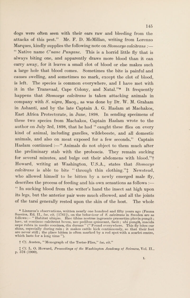dogs were often seen with their ears raw and bleeding from the attacks of this pest.” Mr. F. D. McMillan, writing from Lorenzo Marques, kindly supplies the following note on Stomoxys calcitrans :— “ Native name C’nane Pungane. This is a horrid little fly that is always biting one, and apparently draws more blood than it can carry away, for it leaves a small clot of blood or else makes such a large hole that blood comes. Sometimes the bite is painful and causes swelling, and sometimes no mark, except the clot of blood, is left. The species is common everywhere, and I have met with it in the Transvaal, Cape Colony, and Natal.”* It frequently happens that Stomoxys calcitrans is taken attacking animals in company with S. nigra, Macq., as was done by Dr. W. M. Graham in Ashanti, and by the late Captain A. G. Haslam at Machakos, East Africa Protectorate, in June, 1898. In sending specimens of these two species from Machakos, Captain Haslam wrote to the author on July 3rd, 1898, that he had “ caught these flies on every kind of animal, including gazelles, wildebeeste, and all domestic animals, and also on meat exposed for a few seconds.” Captain Haslam continued :—“ Animals do not object to them much after the preliminary stab with the proboscis. They remain sucking for several minutes, and bulge out their abdomens with blood.”| Howard, writing at Washington, U.S.A., states that Stomoxys calcitrans is able to bite cc through thin clothing.”J Newstead, who allowed himself to be bitten by a newly emerged male fly, describes the process of feeding and his own sensations as follows :— “ In sucking blood from the writer’s hand the insect sat high upon its legs, but the anterior pair were much elbowed, and all the joints of the tarsi generally rested upon the skin of the host. The whole * Linnaeus’s observations, written nearly one hundred and fifty years ago (Fauna Suecica, Ed. II., loc. cit. [1761]), on the behaviour of S. calcitrans in Sweden are as follows :— “ Habitat ubique. Haec tibias nostras ingruente praesertim pluvia pungit; haec, ut continuo calcitrent boves, nec pedibus quiescant, facit; ubi pungit, macula saepe rubra in medio coccinea, diu durans ” (“ Found everywhere. This fly bites our shins, especially during rain ; it makes cattle kick continuously, so that their feet are never still; the place bitten is often marked by a red spot with a scarlet centre, which lasts for a long time ”). f Gf. Austen, “Monograph of the Tsetse-Flies,” loc. cit.” t Gf. L. O. Howard, Proceedings of the Washington Academy of Sciences,Yol. II., p. 578 (1900). L