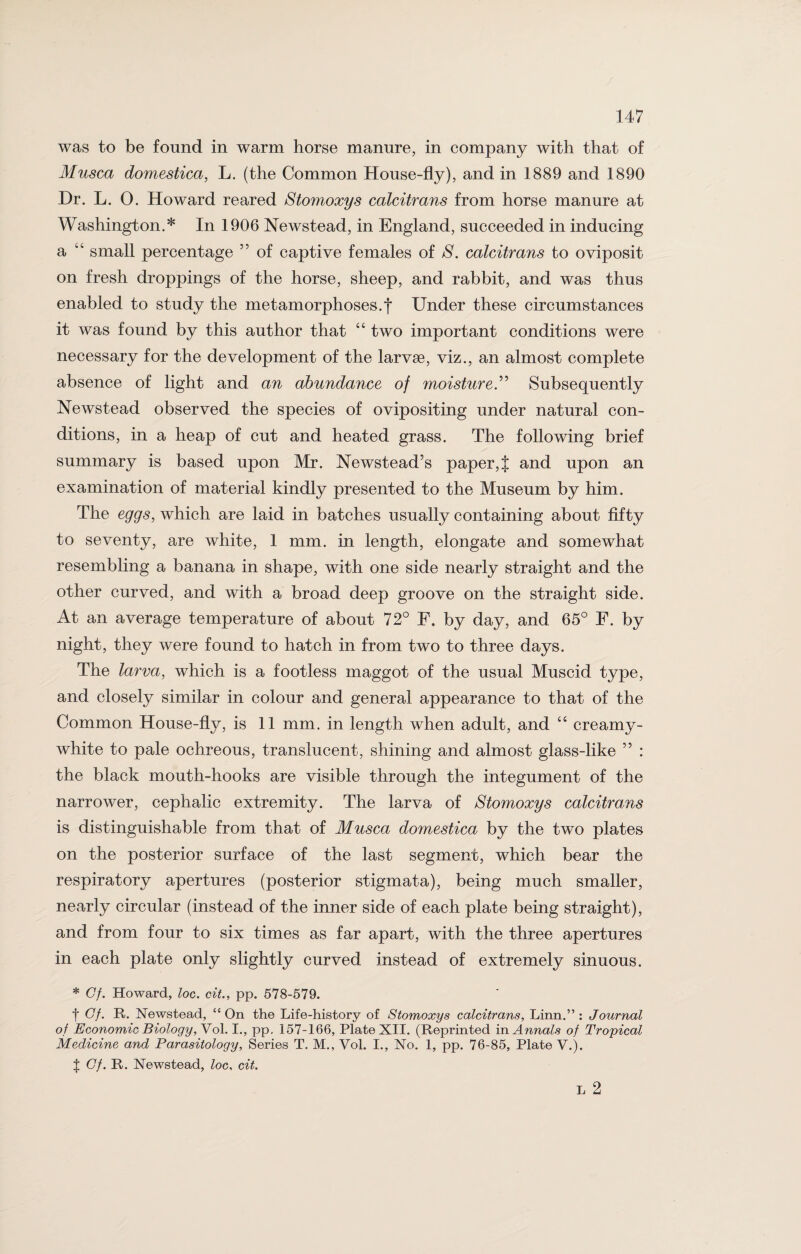 was to be found in warm horse manure, in company with that of Musca domestica, L. (the Common House-fly), and in 1889 and 1890 Dr. L. 0. Howard reared Stomoxys calcitrans from horse manure at Washington.* In 1906 Newstead, in England, succeeded in inducing a “ small percentage ” of captive females of S. calcitrans to oviposit on fresh droppings of the horse, sheep, and rabbit, and was thus enabled to study the metamorphoses.f Under these circumstances it was found by this author that “ two important conditions were necessary for the development of the larvae, viz., an almost complete absence of light and an abundance of moisture.” Subsequently Newstead observed the species of ovipositing under natural con¬ ditions, in a heap of cut and heated grass. The following brief summary is based upon Mr. Newstead’s paper, J and upon an examination of material kindly presented to the Museum by him. The eggs, which are laid in batches usually containing about fifty to seventy, are white, 1 mm. in length, elongate and somewhat resembling a banana in shape, with one side nearly straight and the other curved, and with a broad deep groove on the straight side. At an average temperature of about 72° F. by day, and 65° F. by night, they were found to hatch in from two to three days. The larva, which is a footless maggot of the usual Muscid type, and closely similar in colour and general appearance to that of the Common House-fly, is 11 mm. in length when adult, and “ creamy- white to pale ochreous, translucent, shining and almost glass-like ” : the black mouth-hooks are visible through the integument of the narrower, cephalic extremity. The larva of Stomoxys calcitrans is distinguishable from that of Musca domestica by the two plates on the posterior surface of the last segment, which bear the respiratory apertures (posterior stigmata), being much smaller, nearly circular (instead of the inner side of each plate being straight), and from four to six times as far apart, with the three apertures in each plate only slightly curved instead of extremely sinuous. * Cf. Howard, loc. cit., pp. 578-579. t Cf. R. Newstead, “ On the Life-history of Stomoxys calcitrans, Linn.” : Journal of Economic Biology, Vol. I., pp, 157-166, Plate XII. (Reprinted in Annals of Tropical Medicine and Parasitology, Series T. M., Vol. I., No. 1, pp. 76-85, Plate V.). J Cf. R. Newstead, loc, cit. L 2