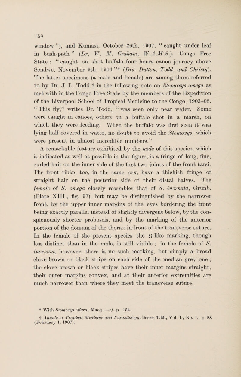 window ”), and Kumasi, October 26th, 1907, “ caught under leaf in bush-path ” (Dr. W. M. Graham, W.A.M.S.). Congo Free State : “ caught on shot buffalo four hours canoe journey above Sendwe, November 9th, 1904 ”* (Drs. Dutton, Todd, and Christy). The latter specimens (a male and female) are among those referred to by Dr. J. L. Todd,t in the following note on Stomoxys omega as met with in the Congo Free State by the members of the Expedition of the Liverpool School of Tropical Medicine to the Congo, 1903-05. “ This fly,” writes Dr. Todd, “ was seen only near water. Some were caught in canoes, others on a buffalo shot in a marsh, on which they were feeding. When the buffalo was first seen it was lying half-covered in water, no doubt to avoid the Stomoxys, which were present in almost incredible numbers.” A remarkable feature exhibited by the male of this species, which is indicated as well as possible in the figure, is a fringe of long, fine, curled hair on the inner side of the first two joints of the front tarsi. The front tibiae, too, in the same sex, have a thickish fringe of straight hair on the posterior side of their distal halves. The female of S. omega closely resembles that of S. inornata, Grunb. (Plate XIII., fig. 97), but may be distinguished by the narrower front, by the upper inner margins of the eyes bordering the front being exactly parallel instead of slightly divergent below, by the con¬ spicuously shorter proboscis, and by the marking of the anterior portion of the dorsum of the thorax in front of the transverse suture. In the female of the present species the O-like marking, though less distinct than in the male, is still visible ; in the female of S. inornata, however, there is no such marking, but simply a broad clove-brown or black stripe on each side of the median grey one ; the clove-brown or black stripes have their inner margins straight, their outer margins convex, and at their anterior extremities are much narrower than where they meet the transverse suture. * With Stomoxys nigra, Macq.,—cf. p. 154. f Annals of Tropical Medicine and Parasitology, Series T.M., Vol. I., No. I., p. 88 (February 1, 1907).