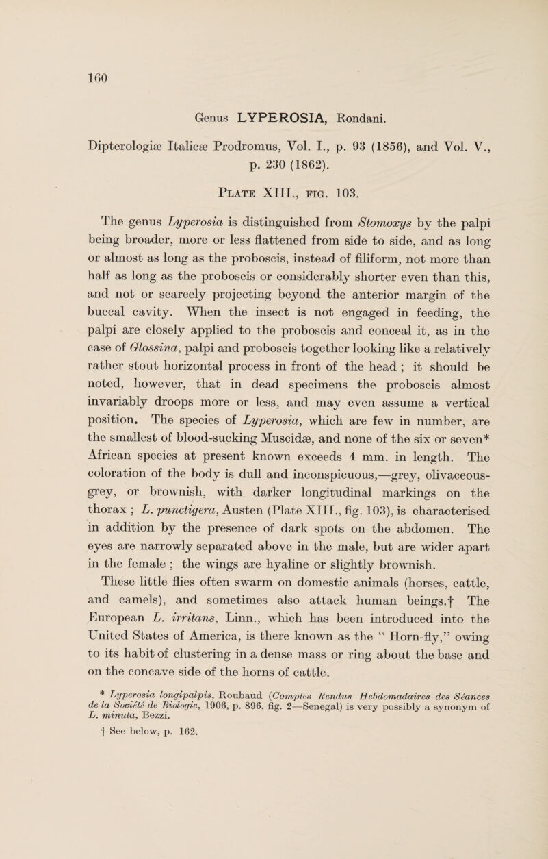Genus LYPEROSIA, Rondani. Dipterologise Italicae Prodromus, Vol. I., p. 93 (1856), and Vol. V., p. 230 (1862). Plate XIII., fig. 103. The genus Lyperosia is distinguished from Stomoxys by the palpi being broader, more or less flattened from side to side, and as long or almost as long as the proboscis, instead of filiform, not more than half as long as the proboscis or considerably shorter even than this, and not or scarcely projecting beyond the anterior margin of the buccal cavity. When the insect is not engaged in feeding, the palpi are closely applied to the proboscis and conceal it, as in the case of Glossina, palpi and proboscis together looking like a relatively rather stout horizontal process in front of the head ; it should be noted, however, that in dead specimens the proboscis almost invariably droops more or less, and may even assume a vertical position. The species of Lyperosia, which are few in number, a,re the smallest of blood-sucking Muscidse, and none of the six or seven* African species at present known exceeds 4 mm. in length. The coloration of the body is dull and inconspicuous,—grey, olivaceous- grey, or brownish, with darker longitudinal markings on the thorax ; L. punctigera, Austen (Plate XIII., fig. 103), is characterised in addition by the presence of dark spots on the abdomen. The eyes are narrowly separated above in the male, but are wider apart in the female ; the wings are hyaline or slightly brownish. These little flies often swarm on domestic animals (horses, cattle, and camels), and sometimes also attack human beings.*j* The European L. irritans, Linn., which has been introduced into the United States of America, is there known as the “ Horn-fly,” owing to its habit of clustering in a dense mass or ring about the base and on the concave side of the horns of cattle. * Lyperosia longipalpis, Roubaud (Comptes Rendus Hebdomadaires des Seances de la Societe de Biologie, 1906, p. 896, fig. 2—Senegal) is very possibly a synonym of L. minuta, Bezzi. f See below, p. 162.