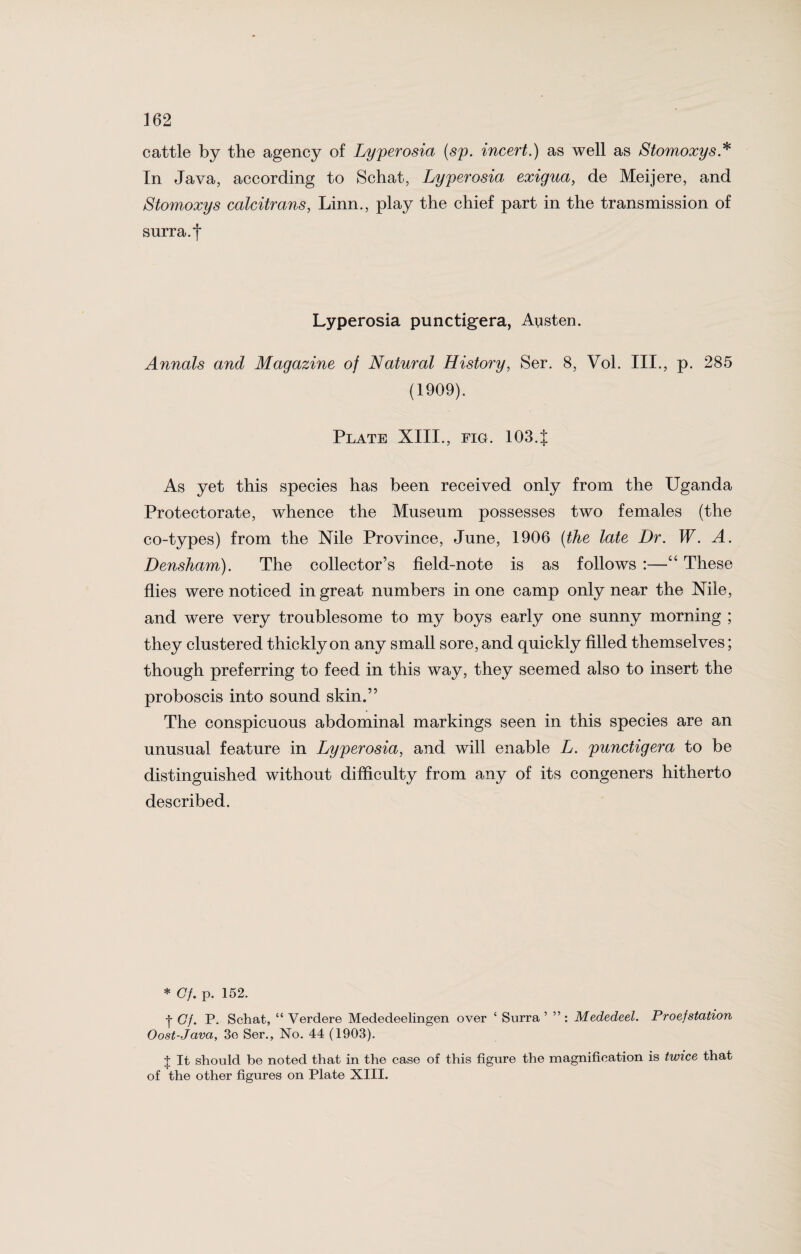 cattle by the agency of Lyperosia (sp. incert.) as well as Stomoxys* In Java, according to Schat, Lyperosia exigua, de Meijere, and Stomoxys calcitrans, Linn., play the chief part in the transmission of surra, f Lyperosia punctigera, Austen. Annals and Magazine of Natural History, Ser. 8, Vol. III., p. 285 (1909). Plate XIII., fig. 1034 As yet this species has been received only from the Uganda Protectorate, whence the Museum possesses two females (the co-types) from the Nile Province, June, 1906 (ithe late Dr. W. A. Densham). The collector’s field-note is as follows :—“ These flies were noticed in great numbers in one camp only near the Nile, and were very troublesome to my boys early one sunny morning ; they clustered thickly on any small sore, and quickly filled themselves; though preferring to feed in this way, they seemed also to insert the proboscis into sound skin.” The conspicuous abdominal markings seen in this species are an unusual feature in Lyperosia, and will enable L. punctigera to be distinguished without difficulty from any of its congeners hitherto described. * Gf. p. 152. -j- Cf. P. Schat, “ Verdere Mededeelingen over £ Surra ’ ” : Mededeel. Proefstation Oost-Java, 3e Ser., No. 44 (1903). J It should be noted that in the case of this figure the magnification is twice that of the other figures on Plate XIII.