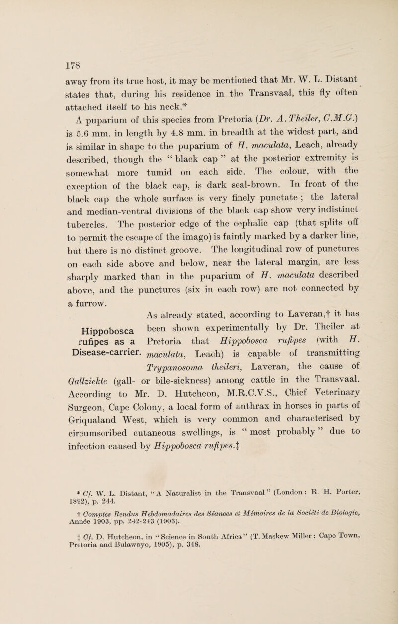 away from its true host, it may be mentioned that Mr. W. L. Distant states that, during his residence in the Transvaal, this fly often attached itself to his neck * A puparium of this species from Pretoria (Dr. A. Theiler, C.M.G.) is 5.6 mm. in length by 4.8 mm. in breadth at the widest part, and is similar in shape to the puparium of H. maculata, Leach, already described, though the “ black cap ” at the posterior extremity is somewhat more tumid on each side. The colour, with the exception of the black cap, is dark seal-brown. In front of the black cap the whole surface is very finely punctate ; the lateral and median-ventral divisions of the black cap show very indistinct tubercles. The posterior edge of the cephalic cap (that splits off to permit the escape of the imago) is faintly marked by a darker line, but there is no distinct groove. The longitudinal row of punctures on each side above and below, near the lateral margin, are less sharply marked than in the puparium of H. maculata described above, and the punctures (six in each row) are not connected by a furrow. As already stated, according to Laveran,f it has Hippobosca been shown experimentally by Dr. Theiler at rufipes as a Pretoria that Hippobosca rufipes (with H. Disease-carrier. macuiata, Leach) is capable of transmitting Trypanosoma theiler i, Laveran, the cause of Gallzielcte (gall- or bile-sickness) among cattle in the Transvaal. According to Mr. D. Hutcheon, M.R.C.V.S., Chief Veterinary Surgeon, Cape Colony, a local form of anthrax in horses in parts of Griqualand West, which is very common and characterised by circumscribed cutaneous swellings, is “ most probably ” due to infection caused by Hippobosca rufipes.% * Cf. W. L. Distant, “ A Naturalist in the Transvaal ” (London : It. H. Porter, 1892), p. 244. t Comptes Rendus Hebdomadaires des Seances et Memoires de la Societe de Biologie, Ann6e 1903, pp. 242-243 (1903). J Cf. D. Hutcheon, in “ Science in South Africa” (T. Maskew Miller: Cape Town, Pretoria and Bulawayo, 1905), p. 348.