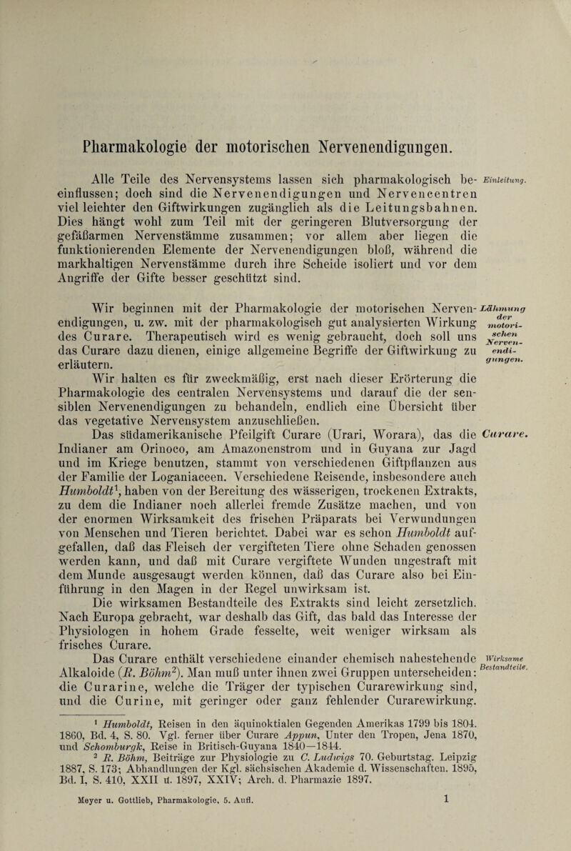 Pharmakologie der motorischen Nervenendigungen. Alle Teile des Nervensystems lassen sich pharmakologisch be¬ einflussen; doch sind die Nervenendigungen und Nervencentren viel leichter den Giftwirkungen zugänglich als die Leitungsbahnen. Dies hängt wohl zum Teil mit der geringeren Blutversorgung der gefäßarmen Nervenstämme zusammen; vor allem aber liegen die funktionierenden Elemente der Nervenendigungen bloß, während die markhaltigen Nervenstämme durch ihre Scheide isoliert und vor dem Angriffe der Gifte besser geschützt sind. Wir beginnen mit der Pharmakologie der motorischen Nerven¬ endigungen, u. zw. mit der pharmakologisch gut analysierten Wirkung des Curare. Therapeutisch wird es wenig gebraucht, doch soll uns das Curare dazu dienen, einige allgemeine Begriffe der Giftwirkung zu erläutern. Wir halten es für zweckmäßig, erst nach dieser Erörterung die Pharmakologie des centralen Nervensystems und darauf die der sen¬ siblen Nervenendigungen zu behandeln, endlich eine Übersicht über das vegetative Nervensystem anzuschließen. Das sudamerikanische Pfeilgift Curare (Urari, Worara), das die Indianer am Orinoco, am Amazonenstrom und in Guyana zur Jagd und im Kriege benutzen, stammt von verschiedenen Giftpflanzen aus der Familie der Loganiaceen. Verschiedene Reisende, insbesondere auch Humboldtn, haben von der Bereitung des wässerigen, trockenen Extrakts, zu dem die Indianer noch allerlei fremde Zusätze machen, und von der enormen Wirksamkeit des frischen Präparats bei Verwundungen von Menschen und Tieren berichtet. Dabei war es schon Humboldt auf- gefallen, daß das Fleisch der vergifteten Tiere ohne Schaden genossen werden kann, und daß mit Curare vergiftete Wunden ungestraft mit dem Munde ausgesaugt werden können, daß das Curare also bei Ein¬ führung in den Magen in der Regel unwirksam ist. Die wirksamen Bestandteile des Extrakts sind leicht zersetzlich. Nach Europa gebracht, war deshalb das Gift, das bald das Interesse der Physiologen in hohem Grade fesselte, weit weniger wirksam als frisches Curare. Das Curare enthält verschiedene einander chemisch nahestehende Alkaloide {R. Böhm1 2). Man muß unter ihnen zwei Gruppen unterscheiden: die Curarine, welche die Träger der typischen Curarewirkung sind, und die Curine, mit geringer oder ganz fehlender Curarewirkung. 1 Humboldt, Reisen in den äquinoktialen Gegenden Amerikas 1799 bis 1804. 1860, Bd. 4, S. 80. Vgl. ferner über Curare Appun, Unter den Tropen, Jena 1870, und Schomburgk, Reise in Britisch-Guyana 1840—1844. 2 B. Böhm, Beiträge zur Physiologie zu C. Ludwigs 70. Geburtstag. Leipzig 1887, S. 173; Abhandlungen der Kgl. sächsischen Akademie d. Wissenschaften. 1895, Bd. I, S. 410, XXII ü. 1897, XXIV; Arch. d. Pharmazie 1897. Einleitung. Lähmung der motori¬ schen Nerven¬ endi¬ gungen. Curare. Wirksame Bestandteile. Meyer u. Gottlieb, Pharmakologie, 5. Aufl.