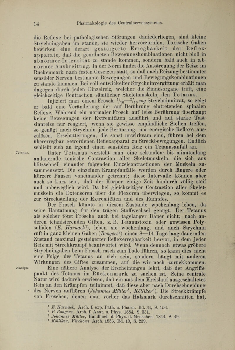 Tetanus. Analyse. die Reflexe bei pathologischen Störungen daniederliegen, sind kleine Strychningaben im stände, sie wieder hervorzurufen. Toxische Gaben bewirken eine derart gesteigerte Erregbarkeit der Reflex¬ apparate, daß die geordneten Bewegungskombinationen nicht bloß in abnormer Intensität zu stände kommen, sondern bald auch in ab¬ normer Ausbreitung. In der Norm findet die Ausstreuung der Reize im Rückenmark nach festen Gesetzen statt, so daß nach Reizung bestimmter sensibler Nerven bestimmte Bewegungen und Bewegungskombinationen zu stände kommen. Bei voll entwickelter Strychninvergiftung erhält man dagegen durch jeden Einzelreiz, welcher die Sinnesorgane trifft, eine gleichzeitige Contraction sämtlicher Skeletmuskeln, den Tetanus. Injiziert man einem Frosch 1/10—2 3 4/io mö Strychninnitrat, so zeigt er bald eine Veränderung der auf Berührung eintretenden spinalen Reflexe. Während ein normaler Frosch auf leise Berührung überhaupt keine Bewegungen der Extremitäten ausführt und auf starke Tast¬ sinnreize nur reagiert, wenn sie gewisse empfindliche Stellen treffen, so genügt nach Strychnin jede Berührung, um energische Reflexe aus¬ zulösen. Erschütterungen, die sonst unwirksam sind, führen bei dem übererregbar gewordenen Reflexapparat zu Streckbewegungen. Endlich schließt sich an irgend einen sensiblen Reiz ein Tetanusanfall an. Unter Tetanus versteht man eine Sekunden- bis minutenlang andauernde tonische Contraction aller Skeletmuskeln, die sich aus blitzschnell einander folgenden Einzelcontractionen der Muskeln zu¬ sammensetzt. Die einzelnen Krampfanfälle werden durch längere oder kürzere Pausen voneinander getrennt; diese Intervalle können aber auch so kurz sein, daß der Körper einige Zeit hindurch völlig steif und unbeweglich wird. Da bei gleichzeitiger Contraction aller Skelet¬ muskeln die Extensoren über die Flexoren überwiegen, so kommt es zur Streckstellung der Extremitäten und des Rumpfes. Der Frosch könnte in diesem Zustande wochenlang leben, da seine Hautatmung für den trägen Stoffwechsel genügt. Der Tetanus als solcher tötet Frösche auch bei tagelanger Dauer nicht; nach an¬ deren tetanisierenden Giften, z. B. Tetanustoxin oder gewissen Poly¬ sulfiden (E. HarnacW), leben sie wochenlang, und auch Strychnin ruft in ganz kleinen Gaben (Bongers2) einen 8—14 Tage lang dauernden Zustand maximal gesteigerter Reflexerregbarkeit hervor, in dem jeder Reiz mit Streckkrampf beantwortet wird. Wenn dennoch etwas größere Strychningaben beim Frosch rasch zum Tode führen, so kann dies nicht eine Folge des Tetanus an sich sein, sondern hängt mit anderen Wirkungen des Giftes zusammen, auf die wir noch zurückkommen. Eine nähere Analyse der Erscheinungen lehrt, daß der Angriffs¬ punkt des Tetanus im Rückenmark zu suchen ist. Seine centrale Natur wird dadurch erwiesen, daß ein aus dem Kreislauf ausgeschaltetes Bein an den Krämpfen teilnjmmt, daß diese aber nach Durchschneidung des Nerven auf hören (Johannes Mullerzy KöllikerA). Die Streckkrämpfe von Fröschen, denen man vorher das Halsmark durchschnitten hat, 1 K Harnack, Arch. f. exp. Path. u. Pharm. Bd. 34, S. 156. 2 P. Bongers, Arch. f. Anat. u. Phys. 1884. S. 331. 3 Johannes Müller, Handbuch d. Phys. d. Menschen. 1844, S. 49. 4 Kölliker, Virchows Arch. 1856, Bd. 10, S. 239.