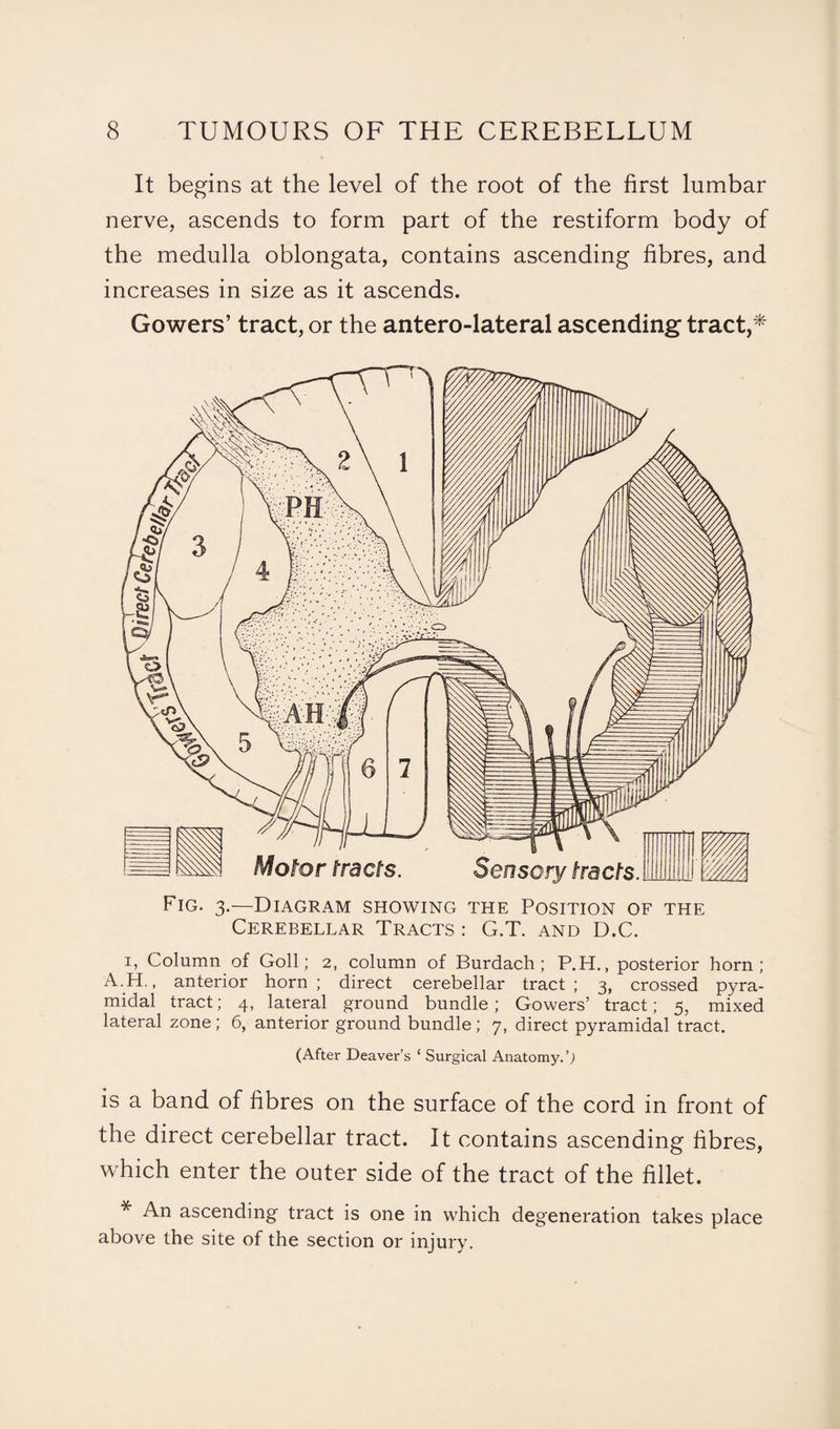 It begins at the level of the root of the first lumbar nerve, ascends to form part of the restiform body of the medulla oblongata, contains ascending fibres, and increases in size as it ascends. Gowers’ tract, or the antero-lateral ascending tract,* Fig. 3.—Diagram showing the Position of the Cerebellar Tracts : G.T. and D.C. 1, Column of Goll; 2, column of Burdach; P.H., posterior horn; A H., anterior horn ; direct cerebellar tract ; 3, crossed pyra¬ midal tract; 4, lateral ground bundle; Gowers’ tract; 5, mixed lateral zone; 6, anterior ground bundle; 7, direct pyramidal tract. (After Deaver’s ‘ Surgical Anatomy.’; is a band of fibres on the surface of the cord in front of the direct cerebellar tract. It contains ascending fibres, which enter the outer side of the tract of the fillet. * An ascending tract is one in which degeneration takes place above the site of the section or injury.