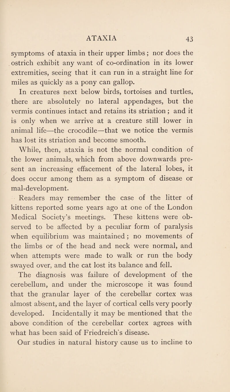 symptoms of ataxia in their upper limbs; nor does the . ostrich exhibit any want of co-ordination in its lower extremities, seeing that it can run in a straight line for miles as quickly as a pony can gallop. In creatures next below birds, tortoises and turtles, there are absolutely no lateral appendages, but the vermis continues intact and retains its striation; and it is only when we arrive at a creature still lower in animal life—the crocodile—that we notice the vermis has lost its striation and become smooth. While, then, ataxia is not the normal condition of the lower animals, which from above downwards pre¬ sent an increasing effacement of the lateral lobes, it does occur among them as a symptom of disease or mal-development. Readers may remember the case of the litter of kittens reported some years ago at one of the London Medical Society’s meetings. These kittens were ob¬ served to be affected by a peculiar form of paralysis when equilibrium was maintained ; no movements of the limbs or of the head and neck were normal, and when attempts were made to walk or run the body swayed over, and the cat lost its balance and fell. The diagnosis was failure of development of the cerebellum, and under the microscope it was found that the granular layer of the cerebellar cortex was almost absent, and the layer of cortical cells very poorly developed. Incidentally it may be mentioned that the above condition of the cerebellar cortex agrees with what has been said of Friedreich’s disease. Our studies in natural history cause us to incline to