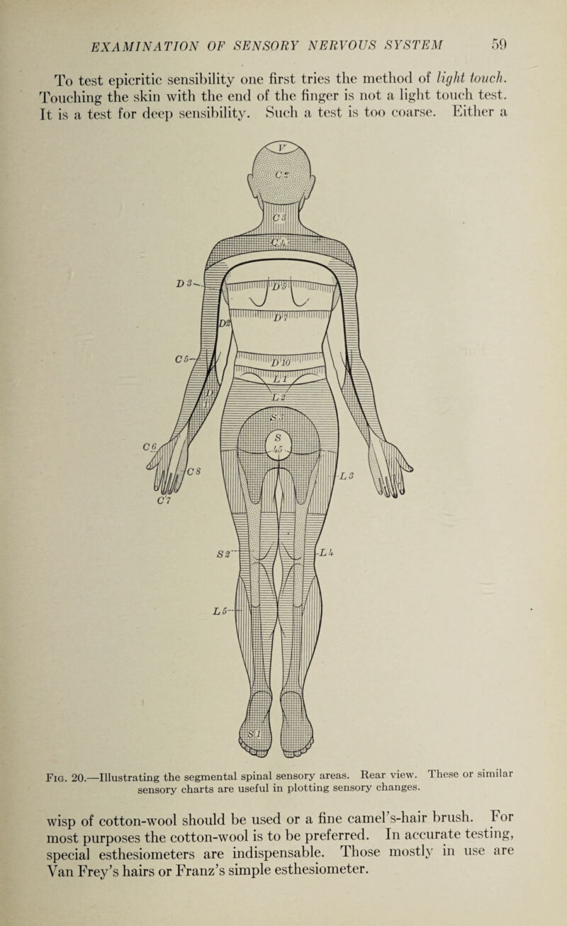 To test epicritic sensibility one first tries the method of light touch. Touching the skin with the end of the finger is not a light touch test. It is a test for deep sensibility. Such a test is too coarse. Either a Fig. 20.—Illustrating the segmental spinal sensory areas. Rear view. These or similar sensory charts are useful in plotting sensory changes. wisp of cotton-wool should be used or a fine earners-hair brush. For most purposes the cotton-wool is to be preferred. In accurate testing, special esthesiometers are indispensable. I hose mostly in use are Van Frey’s hairs or Franz’s simple esthesiometer.