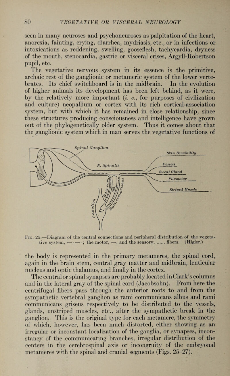 seen in many neuroses and psychoneuroses as palpitation of the heart, anorexia, fainting, crying, diarrhea, mydriasis, etc., or in infections or intoxications as reddening, swelling, gooseflesh, tachycardia, dryness of the mouth, stenocardia, gastric or visceral crises, Argyll-Robertson pupil, etc. The vegetative nervous system in its essence is the primitive, archaic rest of the ganglionic or metameric system of the lower verte¬ brates. Its chief switchboard is in the midbrain. In the evolution of higher animals its development has been left behind, as it were, by the relatively more important (i. e., for purposes of civilization and culture) neopallium or cortex with its rich cortical-association system, but with which it has remained in close relationship, since these structures producing consciousness and intelligence have grown out of the phylogenetically older system. Thus it comes about that the ganglionic system which in man serves the vegetative functions of Fig. 25.—Diagram of the central connections and peripheral distribution of the vegeta¬ tive system,-; the motor, —, and the sensory.. fibers. (Higier.) the body is represented in the primary metameres, the spinal cord, again in the brain stem, central gray matter and midbrain, lenticular nucleus and optic thalamus, and finally in the cortex. The central or spinal synapses are probably located inClark’s columns and in the lateral gray of the spinal cord (Jacobsohn). From here the centrifugal fibers pass through the anterior roots to and from the sympathetic vertebral ganglion as rami communicans albus and rami communicans griseus respectively to be distributed to the vessels, glands, unstriped muscles, etc., after the sympathetic break in the ganglion-. This is the original type for each metamere, the symmetry of which, however, has been much distorted, either showing as an irregular or inconstant localization of the ganglia, or synapses, incon¬ stancy of the communicating branches, irregular distribution of the centers in the cerebrospinal axis or incongruity of the embryonal metameres with the spinal and cranial segments (Figs. 25-27).