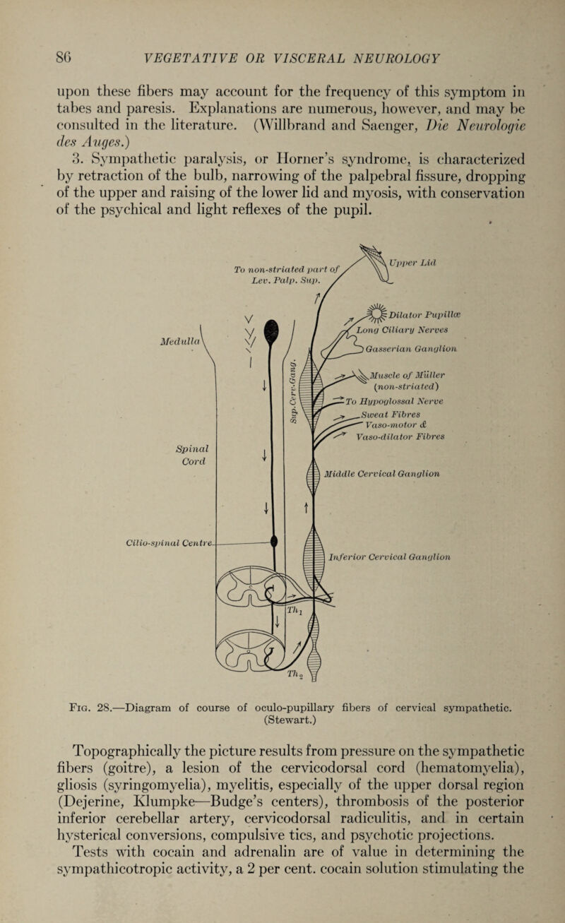 upon these fibers may account for the frequency of this symptom in tabes and paresis. Explanations are numerous, however, and may be consulted in the literature. (Willbrand and Saenger, Die Neurologic des Auges.) 3. Sympathetic paralysis, or Horner’s syndrome, is characterized by retraction of the bulb, narrowing of the palpebral fissure, dropping of the upper and raising of the lower lid and myosis, with conservation of the psychical and light reflexes of the pupil. Medulla Spinal Cord Cilio-spinal Centre To non-striated part of _ Lev. Palp. Sup. Upper Lid Dilator Pupillce Long Ciliary Nerves Gasserian Ganglion Muscle of M'uller (non-striated) To Hypoglossal Nerve Sweat Fibres Vaso-motor & Vaso-dilator Fibres Middle Cervical Ganglion Inferior Cervical Ganglion Fig. 28.—Diagram of course of oculo-pupillary fibers of cervical sympathetic. (Stewart.) Topographically the picture results from pressure on the sympathetic fibers (goitre), a lesion of the cervicodorsal cord (hematomyelia), gliosis (syringomyelia), myelitis, especially of the upper dorsal region (Dejerine, Klumpke—Budge’s centers), thrombosis of the posterior inferior cerebellar artery, cervicodorsal radiculitis, and in certain hysterical conversions, compulsive tics, and psychotic projections. Tests with cocain and adrenalin are of value in determining the