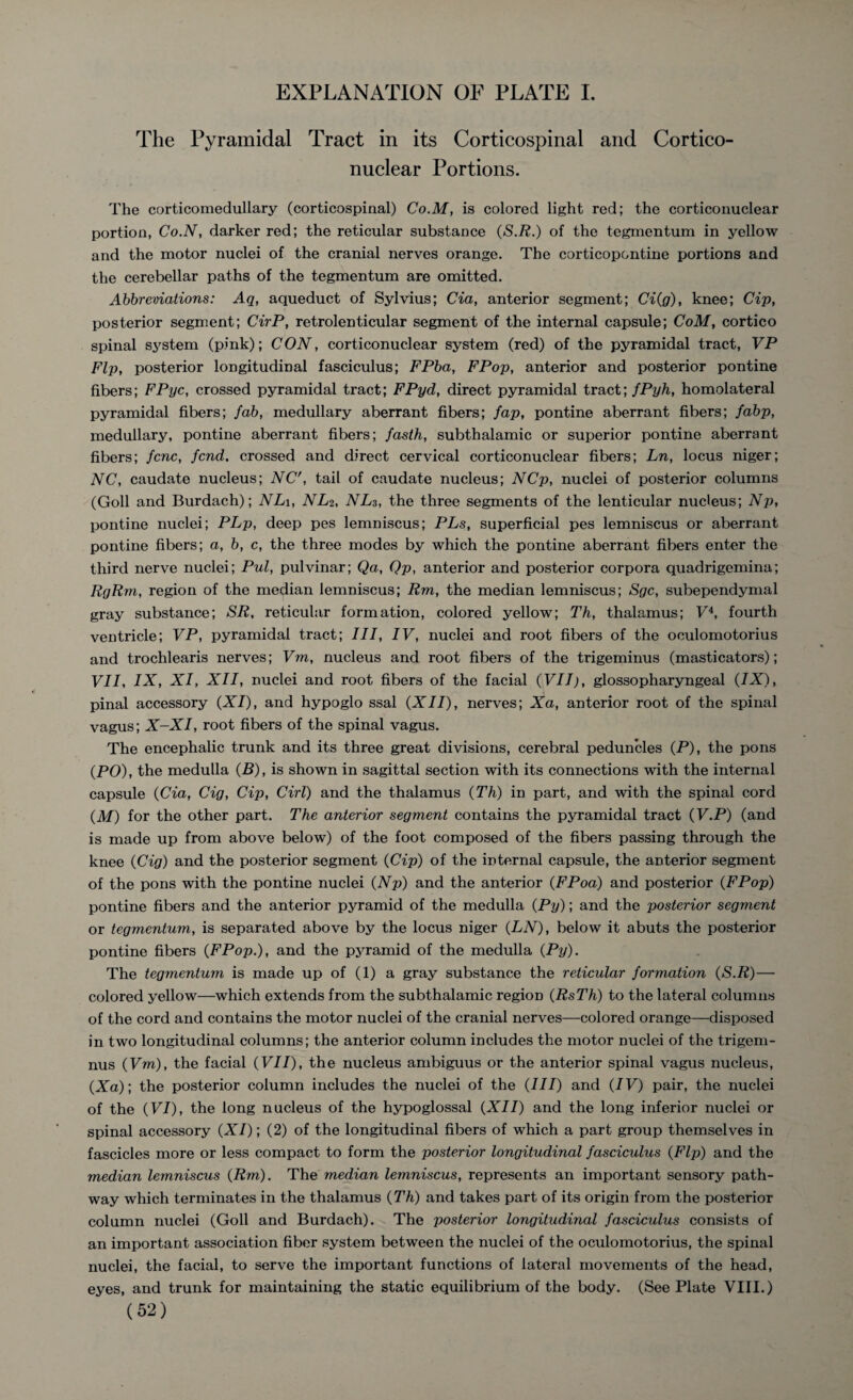 EXPLANATION OF PLATE I. The Pyramidal Tract in its Corticospinal and Cortico¬ nuclear Portions. The corticomedullary (corticospinal) Co.M, is colored light red; the corticonuclear portion, Co.N, darker red; the reticular substance (S.R.) of the tegmentum in yellow and the motor nuclei of the cranial nerves orange. The corticopontine portions and the cerebellar paths of the tegmentum are omitted. Abbreviations: Aq, aqueduct of Sylvius; Cia, anterior segment; Ci(g), knee; Cip, posterior segment; CirP, retrolenticular segment of the internal capsule; CoM, cortico spinal system (pink); CON, corticonuclear system (red) of the pyramidal tract, VP Fl]j, posterior longitudinal fasciculus; FPba, FPop, anterior and posterior pontine fibers; FPyc, crossed pyramidal tract; FPyd, direct pyramidal tract; fPyh, homolateral pyramidal fibers; fab, medullary aberrant fibers; fap, pontine aberrant fibers; fabp, medullary, pontine aberrant fibers; fasth, subthalamic or superior pontine aberrant fibers; fcnc, fend, crossed and direct cervical corticonuclear fibers; Ln, locus niger; NC, caudate nucleus; NC', tail of caudate nucleus; NCp, nuclei of posterior columns (Goll and Burdach); NLi, NL2, NL3, the three segments of the lenticular nucleus; Np, pontine nuclei; PLp, deep pes lemniscus; PLs, superficial pes lemniscus or aberrant pontine fibers; a, b, c, the three modes by which the pontine aberrant fibers enter the third nerve nuclei; Pul, pulvinar; Qa, Qp, anterior and posterior corpora quadrigemina; RgRm, region of the median lemniscus; Rm, the median lemniscus; Sgc, subependymal gray substance; SR, reticular formation, colored yellow; Th, thalamus; F4, fourth ventricle; VP, pyramidal tract; III, IV, nuclei and root fibers of the oculomotorius and trochlearis nerves; Vm, nucleus and root fibers of the trigeminus (masticators); VII, IX, XI, XII, nuclei and root fibers of the facial (VII), glossopharyngeal (IX), pinal accessory (XI), and hypoglo ssal (XII), nerves; Xa, anterior root of the spinal vagus; X-XI, root fibers of the spinal vagus. The encephalic trunk and its three great divisions, cerebral peduncles (P), the pons (PO), the medulla (B), is shown in sagittal section with its connections with the internal capsule (Cia, Cig, Cip, Cirl) and the thalamus (Th) in part, and with the spinal cord (M) for the other part. The anterior segment contains the pyramidal tract (F.P) (and is made up from above below) of the foot composed of the fibers passing through the knee (Cig) and the posterior segment (Cip) of the internal capsule, the anterior segment of the pons with the pontine nuclei (Np) and the anterior (FPoa) and posterior (FPop) pontine fibers and the anterior pyramid of the medulla (Py); and the posterior segment or tegmentum, is separated above by the locus niger (LN), below it abuts the posterior pontine fibers (FPop.), and the pyramid of the medulla (Py). The tegmentum is made up of (1) a gray substance the reticular formation (S.R)— colored yellow—which extends from the subthalamic region (RsTh) to the lateral columns of the cord and contains the motor nuclei of the cranial nerves—colored orange—disposed in two longitudinal columns; the anterior column includes the motor nuclei of the trigem- nus (Vm), the facial (VII), the nucleus ambiguus or the anterior spinal vagus nucleus, (Xa); the posterior column includes the nuclei of the (III) and (IV) pair, the nuclei of the (VI), the long nucleus of the hypoglossal (XII) and the long inferior nuclei or spinal accessory (XI); (2) of the longitudinal fibers of which a part group themselves in fascicles more or less compact to form the posterior longitudinal fasciculus (Flp) and the median lemniscus (Rm). The median lemniscus, represents an important sensory path¬ way which terminates in the thalamus (Th) and takes part of its origin from the posterior column nuclei (Goll and Burdach). The posterior longitudinal fasciculus consists of an important association fiber system between the nuclei of the oculomotorius, the spinal nuclei, the facial, to serve the important functions of lateral movements of the head, eyes, and trunk for maintaining the static equilibrium of the body. (See Plate VIII.)