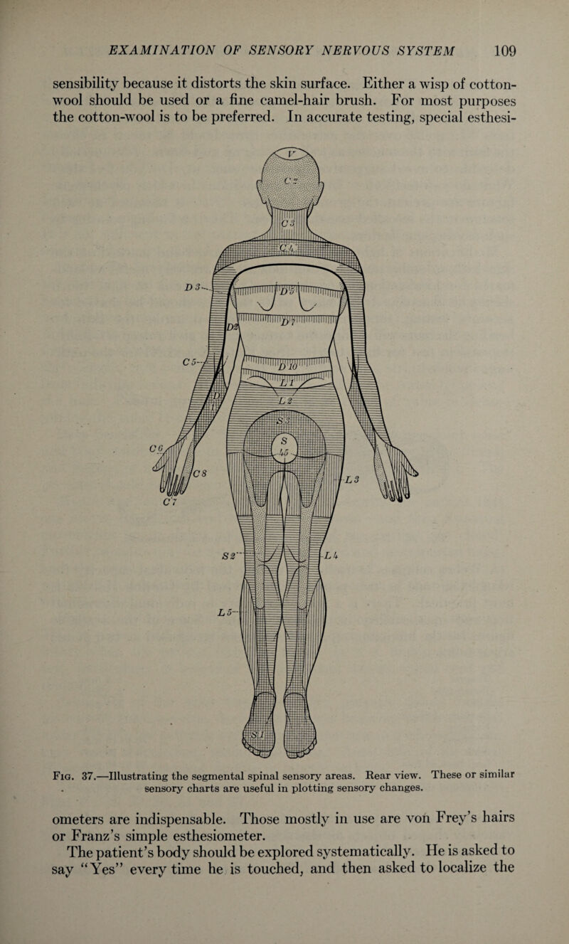 sensibility because it distorts the skin surface. Either a wisp of cotton¬ wool should be used or a fine camel-hair brush. For most purposes the cotton-wool is to be preferred. In accurate testing, special esthesi- Fig. 37.—Illustrating the segmental spinal sensory areas. Rear view. These or similar sensory charts are useful in plotting sensory changes. ometers are indispensable. Those mostly in use are von Frey’s hairs or Franz’s simple esthesiometer. The patient’s body should be explored systematically. He is asked to say “Yes” every time he is touched, and then asked to localize the