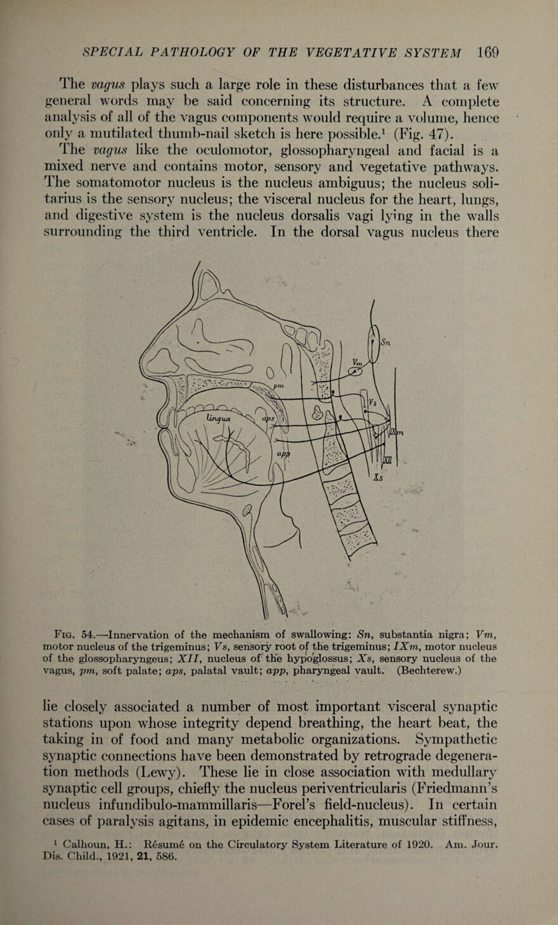 The vagus plays such a large role in these disturbances that a few general words may be said concerning its structure. A complete analysis of all of the vagus components would require a volume, hence only a mutilated thumb-nail sketch is here possible.1 (Fig. 47). The vagus like the oculomotor, glossopharyngeal and facial is a mixed nerve and contains motor, sensory and vegetative pathways. The somatomotor nucleus is the nucleus ambiguus; the nucleus soli- tarius is the sensory nucleus; the visceral nucleus for the heart, lungs, and digestive system is the nucleus dorsalis vagi lying in the walls surrounding the third ventricle. In the dorsal vagus nucleus there Fig. 54.—Innervation of the mechanism of swallowing: Sn, substantia nigra; Vm, motor nucleus of the trigeminus; Fs, sensory root of the trigeminus; IXm, motor nucleus of the glossopharyngeus; XII, nucleus of the hypoglossus; Xs, sensory nucleus of the vagus, pm, soft palate; aps, palatal vault; app, pharyngeal vault. (Bechterew.) lie closely associated a number of most important visceral synaptic stations upon whose integrity depend breathing, the heart beat, the taking in of food and many metabolic organizations. Sympathetic synaptic connections have been demonstrated by retrograde degenera¬ tion methods (Lewy). These lie in close association with medullary synaptic cell groups, chiefly the nucleus periventricularis (Friedmann’s nucleus infundibulo-mammillaris—ForePs field-nucleus). In certain cases of paralysis agitans, in epidemic encephalitis, muscular stiffness, 1 Calhoun, H.: Resume on the Circulatory System Literature of 1920. Am. Jour. Dis. Child., 1921, 21, 586.