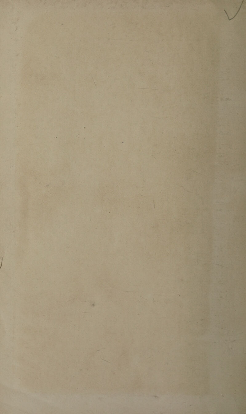 \ \ . . . \ ■ — - -H • *8 - m&m .