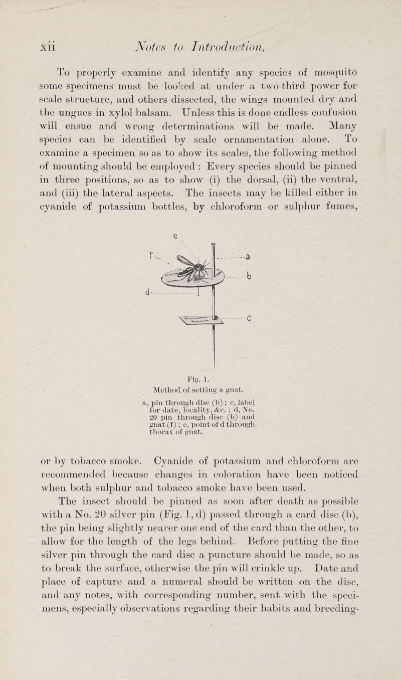 To properly examine and identify any species of mosquito some specimens must be looked at under a two-third power for scale structure, and others dissected, the wings mounted dry and the ungues in xylol balsam. Unless this is done endless confusion will ensue and wrong determinations will be made. Many species can be identified by scale ornamentation alone. To examine a specimen so as to show its scales, the following method of mounting should be employed : Every species should be pinned in three positions, so as to show (i) the dorsal, (ii) the ventral, and (iii) the lateral aspects. The insects may be killed either in cyanide of potassium bottles, by chloroform or sulphur fumes, e. Fig. 1. Method of setting a gnat. a, pin through disc (b) ; c, label for date, locality, &c. ; d, No. 20 pin through disc (b) and gnat (f) ; e, point of d through thorax of gnat. or by tobacco smoke. Cyanide of potassium and chloroform are recommended because changes in coloration have been noticed when both sulphur and tobacco smoke have been used. The insect should be pinned as soon after death as possible with a No. 20 silver pin (Fig. 1, d) passed through a card disc (b), the pin being slightly nearer one end of the card than the other, to allow for the length of the legs behind. Before putting the fine silver pin through the card disc a puncture should be made, so as to break the surface, otherwise the pin will crinkle up. Date and place of capture and a numeral should be written on the disc, and any notes, with corresponding number, sent with the speci¬ mens, especially observations regarding their habits and breeding-