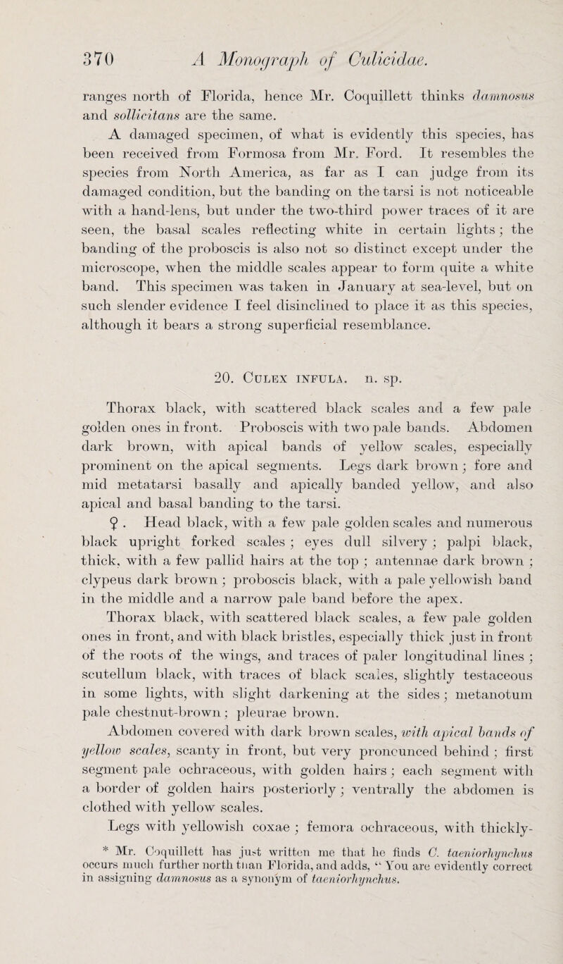 ranges north of Florida, hence Mr. Coquillett thinks damnosus and sollicitans are the same. A damaged specimen, of what is evidently this species, has been received from Formosa from Mr. Ford. It resembles the species from North America, as far as I can judge from its damaged condition, but the banding on the tarsi is not noticeable with a hand-lens, but under the two-third power traces of it are seen, the basal scales reflecting white in certain lights; the banding of the proboscis is also not so distinct except under the microscope, when the middle scales appear to form quite a white band. This specimen was taken in January at sea-level, but on such slender evidence I feel disinclined to place it as this species, although it bears a strong superficial resemblance. 20. CuLEX INFULA. n. Sp. Thorax black, with scattered black scales and a few pale golden ones in front. Proboscis with two pale bands. Abdomen dark brown, with apical bands of yellow scales, especially prominent on the apical segments. Legs dark brown; fore and mid metatarsi basally and apically banded yellow, and also apical and basal banding to the tarsi. 9 . Head black, with a few pale golden scales and numerous black upright forked scales ; eyes dull silvery; palpi black, thick, with a few pallid hairs at the top ; antennae dark brown ; clypeus dark brown ; proboscis black, with a pale yellowish band in the middle and a narrow pale band before the apex. Thorax black, with scattered black scales, a few pale golden ones in front, and with black bristles, especially thick just in front of the roots of the wings, and traces of paler longitudinal lines ; scutellum black, with traces of black scales, slightly testaceous in some lights, with slight darkening at the sides; metanotum pale chestnut-brown; pleurae brown. Abdomen covered with dark brown scales, with apical hands of yellow scales, scanty in front, but very pronounced behind ; first segment pale ochraceous, with golden hairs ; each segment with a border of golden hairs posteriorly ; ventrally the abdomen is clothed with yellow scales. Legs with yellowish coxae ; femora ochraceous, with thickly- * Mr. Coquillett has just written me that he finds C. taeniorhynclms occurs much further north than Florida, and adds, “You are evidently correct in assigning damnosus as a synonym of taeniorliynchus.