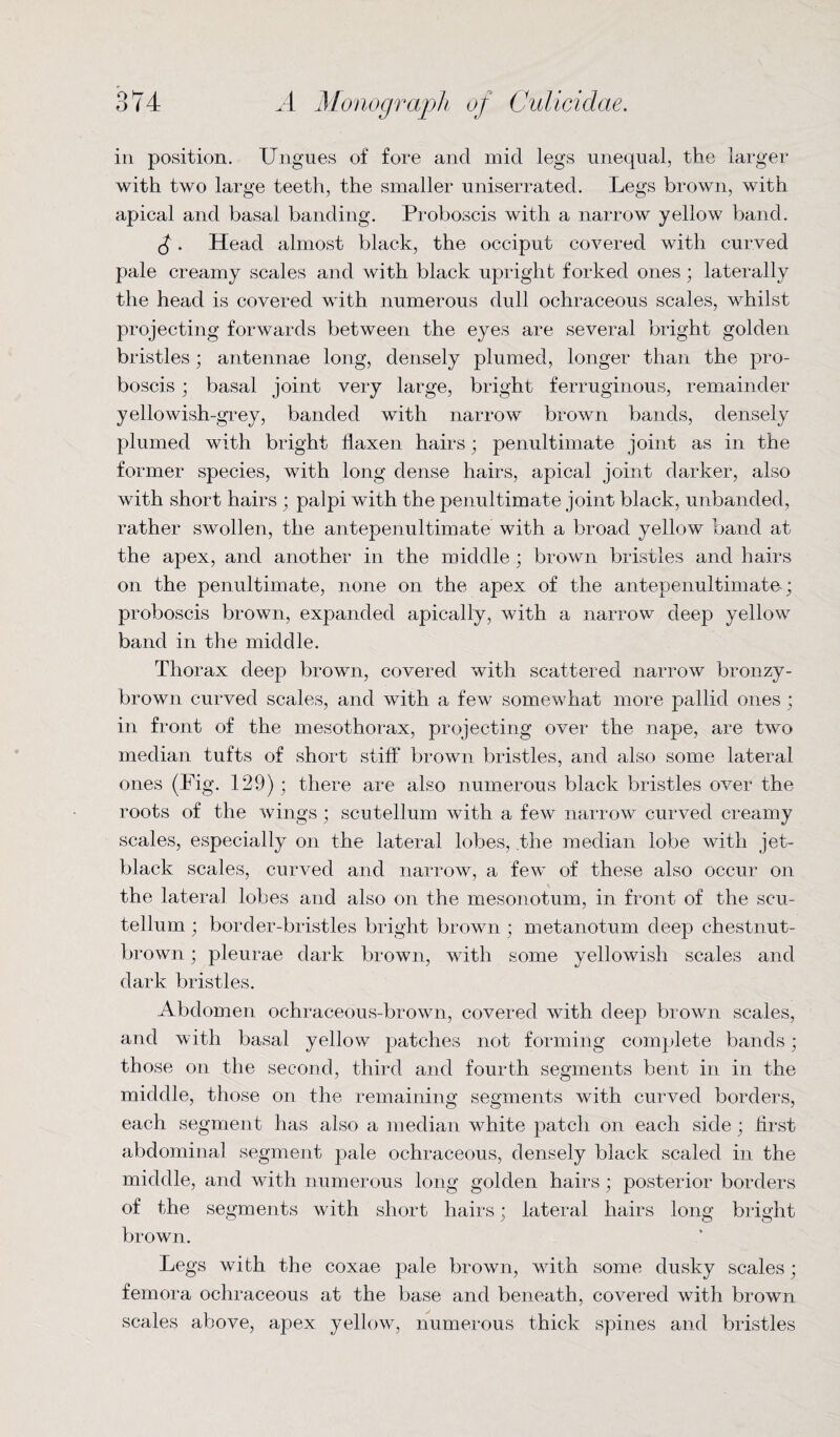 in position. Ungues of fore and mid legs unequal, the larger with two large teeth, the smaller uniserrated. Legs brown, with apical and basal banding. Proboscis with a narrow yellow band. $. Head almost black, the occiput covered with curved pale creamy scales and with black upright forked ones; laterally the head is covered with numerous dull ochraceous scales, whilst projecting forwards between the eyes are several bright golden bristles; antennae long, densely plumed, longer than the pro¬ boscis ; basal joint very large, bright ferruginous, remainder yellowish-grey, banded with narrow brown bands, densely plumed with bright flaxen hairs; penultimate joint as in the former species, with long dense hairs, apical joint darker, also with short hairs ; palpi with the penultimate joint black, unbanded, rather swollen, the antepenultimate with a broad yellow band at the apex, and another in the middle ; brown bristles and hairs on the penultimate, none on the apex of the antepenultimate; proboscis brown, expanded apically, with a narrow deep yellow band in the middle. Thorax deep brown, covered with scattered narrow bronzy- brown curved scales, and with a few somewhat more pallid ones ; in front of the mesothorax, projecting over the nape, are two median tufts of short stiff brown bristles, and also some lateral ones (Pig. 129) ; there are also numerous black bristles over the roots of the wings; scutellum with a few narrow curved creamy scales, especially on the lateral lobes, the median lobe with jet- black scales, curved and narrow, a few of these also occur on the lateral lobes and also on the mesonotum, in front of the scu¬ tellum ; border-bristles bright brown ; metanotum deep chestnut- brown ; pleurae dark brown, with some yellowish scales and dark bristles. Abdomen ochraceous-brown, covered with deep brown scales, and with basal yellow patches not forming complete bands; those on the second, third and fourth segments bent in in the middle, those on the remaining segments with curved borders, each segment has also a median white patch on each side; first abdominal segment pale ochraceous, densely black scaled in the middle, and with numerous long golden hairs; posterior borders of the segments w ith short hairs; lateral hairs long bright brown. Legs with the coxae pale brown, with some dusky scales; femora ochraceous at the base and beneath, covered with brown scales above, apex yellow, numerous thick spines and bristles