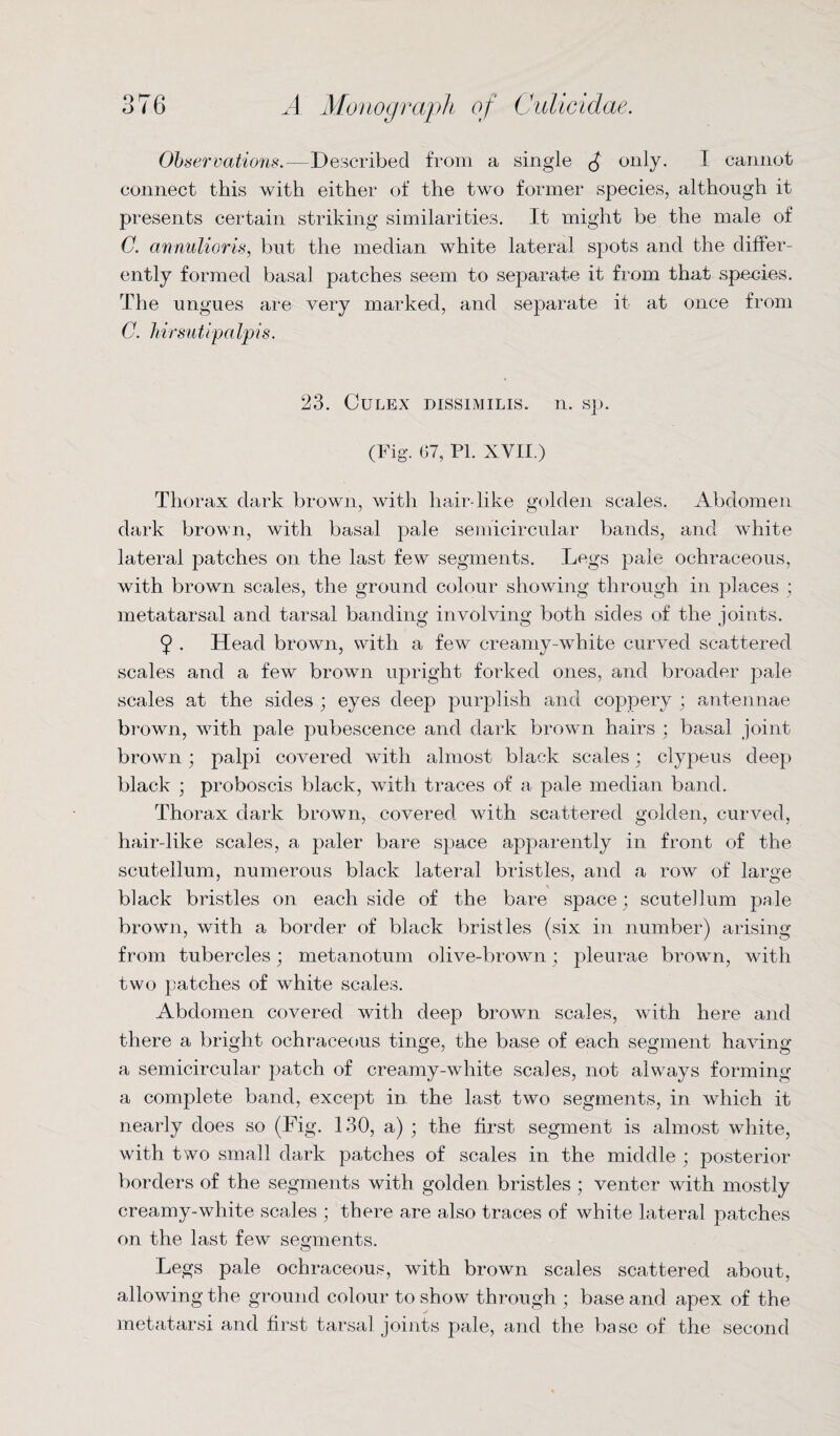Observations.—Described from a single ^ only. I cannot connect this with either of the two former species, although it presents certain striking similarities. It might be the male of C. annulioris, but the median white lateral spots and the differ¬ ently formed basal patches seem to separate it from that species. The ungues are very marked, and separate it at once from C. hirsutipalpis. 23. CULEX DISSIMILIS. 11. Sp. (Fig. 67, PI. XVII.) Thorax dark brown, with hair-like golden scales. Abdomen dark brown, with basal pale semicircular bands, and white lateral patches on the last few segments. Legs pale ochraceous, with brown scales, the ground colour showing through in places ; metatarsal and tarsal banding involving both sides of the joints. 9 . Head brown, with a few creamy-white curved scattered scales and a few brown upright forked ones, and broader pale scales at the sides ; eyes deep purplish and coppery ; antennae brown, with pale pubescence and dark brown hairs ; basal joint brown; palpi covered with almost black scales : clypeus deep black ; proboscis black, with traces of a pale median band. Thorax dark brown, covered with scattered golden, curved, hair-like scales, a paler bare space apparently in front of the scutellum, numerous black lateral bristles, and a row of large black bristles on each side of the bare space; scutellum pale brown, with a border of black bristles (six in number) arising from tubercles; metanotum olive-brown; pleurae brown, with two patches of white scales. Abdomen covered with deep brown scales, with here and there a bright ochraceous tinge, the base of each segment having a semicircular patch of creamy-white scales, not always forming a complete band, except in the last two segments, in which it nearly does so (Fig. 130, a) ; the first segment is almost white, with two small dark patches of scales in the middle ; posterior borders of the segments with golden bristles ; venter with mostly creamy-white scales ; there are also traces of white lateral patches on the last few segments. Legs pale ochraceous, with brown scales scattered about, allowing the ground colour to show through ; base and apex of the metatarsi and first tarsal joints pale, and the base of the second