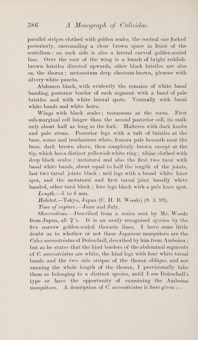 parallel stripes clothed with golden scales, the central one forked posteriorly, surrounding a clear brown space in front of the scutellum : on each side is also a lateral curved golden-scaled line. Over the root of the wing is a bunch of bright reddish- brown bristles directed upwards, other black bristles are also on the thorax; metanotum deep chestnut-brown, pleurae with silvery-white puncta. Abdomen black, with evidently the remains of white basal banding, posterior border of each segment with a band of pale bristles and with white lateral spots. Vent rally with basal white bands and white hairs. Wings with black scales; testaceous at the roots. First sub-marginal cell longer than the second posterior cell, its stalk only about half as long as the fork. Halteres with dark knobs and pale stems. Posterior legs with a tuft of bristles at the base, coxae and trochanters white, femora pale beneath near the base, dark brown above, then completely brown except at the tip, which has a distinct yellowish-white ring ; tibiae clothed with deep black scales ; metatarsi and also the first two tarsi with basal white bands, about equal to half the length of the joints, last two tarsal joints black ; mid legs with a broad white knee spot, and the metatarsi and first tarsal joint basally white banded, other tarsi black; fore legs black with a pale knee spot. Length.—5 to 6 mm. Habitat.—Tokyo, Japan (C. H. B. Woods) (8. 3. 99). Time of capture.—June and July. Observations.—Described from a series sent by Mr. Woods from Japan, all 9’s- It is an easily recognised species by the five narrow golden-scaled thoracic lines. I have some little doubt as to whether or not these Japanese mosquitoes are the Culex aureostriatus of Doleschall, described by him from Amboina ; but as he states that the hind borders of the abdominal segments of G. aureostriatus are white, the hind legs with four white tarsal bands and the two side stripes of the thorax oblique, and not running the whole length of the thorax, I provisionally take them as belonging to a distinct species, until I see Doleschall’s type or have the opportunity of examining the Amboina mosquitoes. A description of 0. aureostriatus is here given :—-