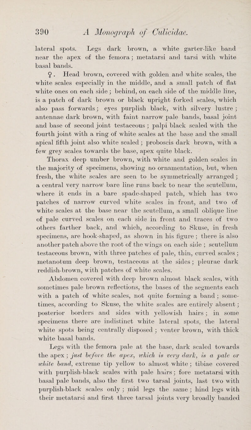 lateral spots. Legs dark brown, a white garter-like band near the apex of the femora; metatarsi and tarsi with white basal bands. 9- Head brown, covered with golden and white scales, the white scales especially in the middle, and a small patch of flat white ones on each side; behind, on each side of the middle line, is a patch of dark brown or black upright forked scales, which also pass forwards; eyes purplish black, with silvery lustre ; antennae dark brown, with faint narrow pale bands, basal joint and base of second joint testaceous ; palpi black scaled with the fourth joint with a ring of white scales at the base and the small apical fifth joint also white scaled; proboscis dark brown, with a few grey scales towards the base, apex quite black. Thorax deep umber brown, with white and golden scales in the majority of specimens, showing no ornamentation, but, when fresh, the white scales are seen to be symmetrically arranged; a central very narrow bare line runs back to near the scutellurn, where it ends in a bare spade-shaped patch, which has two patches of narrow curved white scales in front, and two of white scales at the base near the scutellurn, a small oblique line of pale curved scales on each side in front and traces of two others farther back, and which, according to Skuse, in fresh specimens, are hook-shaped, as shown in his figure; there is also another patch above the root of the wings on each side ; scutellurn testaceous brown, with three patches of pale, thin, curved scales; metanotum deep brown, testaceous at the sides; pleurae dark reddish-brown, with patches of white scales. Abdomen covered with deep brown almost black scales, with sometimes pale brown reflections, the bases of the segments each with a patch of white scales, not quite forming a band; some¬ times, according to Skuse, the white scales are entirely absent; posterior borders and sides with yellowish hairs; in some specimens there are indistinct white lateral spots, the lateral white spots being centrally disposed ; venter brown, with thick white basal bands. Legs with the femora pale at the base, dark scaled towards the apex; just before the apex, which is very davit, is a pale or white band, extreme tip yellow to almost white; tibiae covered with purplish-black scales with pale hairs; fore metatarsi with basal pale bands, also the first two tarsal joints, last two with purplish-black scales only ; mid legs the same ; hind legs with their metatarsi and first three tarsal joints very broadly banded