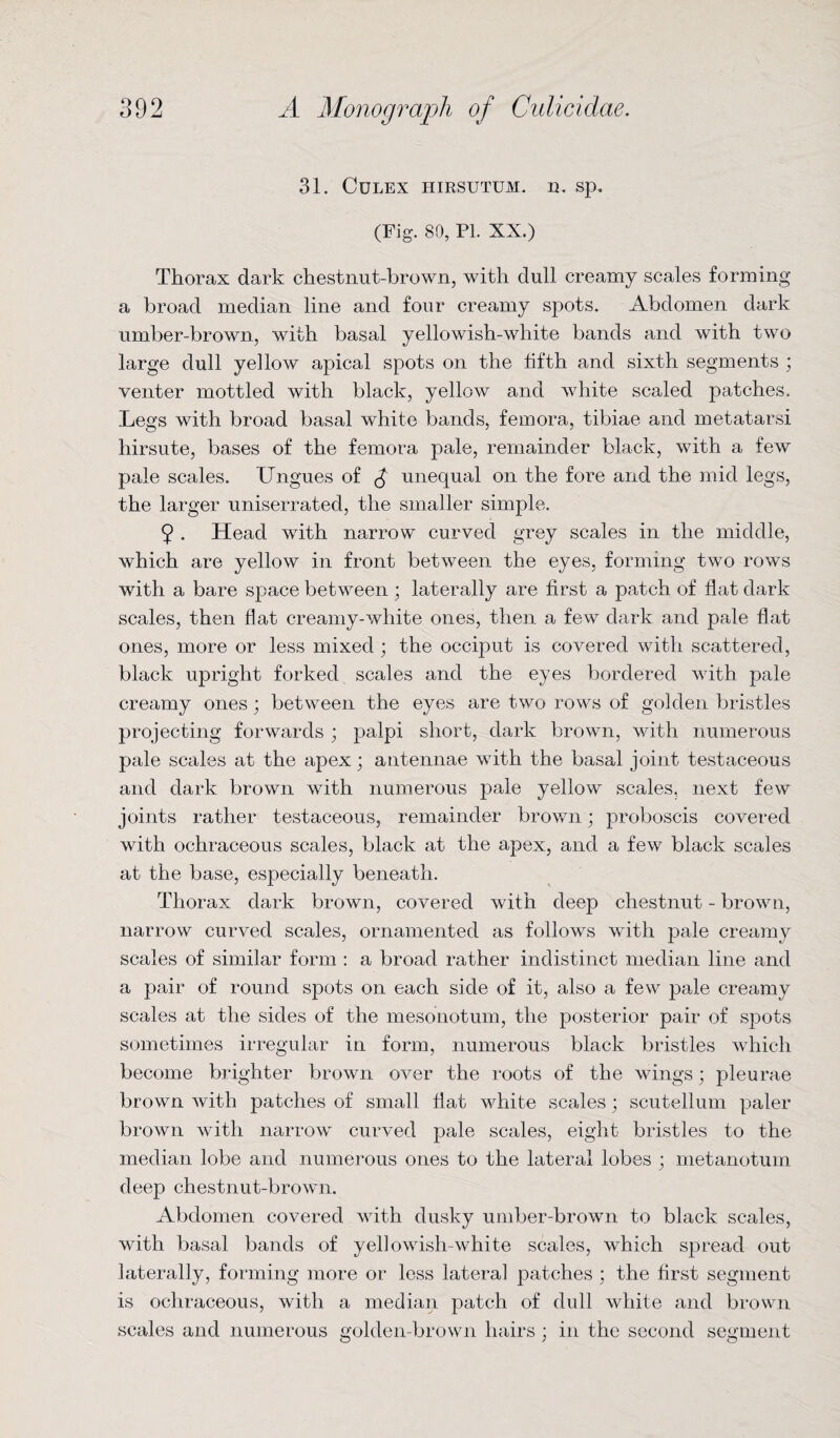 31. CULEX HIRSUTUM. U. Sp. (Fig. 80, Pl. XX.) Thorax dark chestnut-brown, with dull creamy scales forming a broad median line and four creamy spots. Abdomen dark umber-brown, with basal yellowish-white bands and with two large dull yellow apical spots on the fifth and sixth segments ; venter mottled with black, yellow and white scaled patches. .Legs with broad basal white bands, femora, tibiae and metatarsi hirsute, bases of the femora pale, remainder black, with a few pale scales. Ungues of $ unequal on the fore and the mid legs, the larger uniserrated, the smaller simple. 9 . Head with narrow curved grey scales in the middle, which are yellow in front between the eyes, forming two rows with a bare space between ; laterally are first a patch of flat dark scales, then flat creamy-white ones, then a few dark and pale flat ones, more or less mixed; the occiput is covered with scattered, black upright forked scales and the eyes bordered with pale creamy ones; between the eyes are two rows of golden bristles projecting forwards ; palpi short, dark brown, with numerous pale scales at the apex; antennae with the basal joint testaceous and dark brown with numerous pale yellow scales, next few joints rather testaceous, remainder brown; proboscis covered with ochraceous scales, black at the apex, and a few black scales at the base, especially beneath. Thorax dark brown, covered with deep chestnut - brown, narrow curved scales, ornamented as follows with pale creamy scales of similar form : a broad rather indistinct median line and a pair of round spots on each side of it, also a few pale creamy scales at the sides of the mesonotum, the posterior pair of spots sometimes irregular in form, numerous black bristles which become brighter brown over the roots of the wings; pleurae brown with patches of small flat white scales; scutellum paler brown with narrow curved pale scales, eight bristles to the median lobe and numerous ones to the lateral lobes ; metanotum deep chestnut-brown. Abdomen covered with dusky umber-brown to black scales, with basal bands of yellowish-white scales, which spread out laterally, forming more or less lateral patches ; the first segment is ochraceous, with a median patch of dull white and brown scales and numerous golden-brown hairs; in the second segment