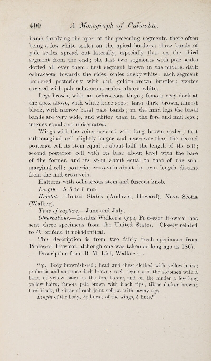 bands involving the apex of the preceding segments, there often being a few white scales on the apical borders ; these bands of pale scales spread out laterally, especially that on the third segment from the end; the last two segments with pale scales dotted all over them; first segment brown in the middle, dark ochraceous towards the sides, scales dusky-white; each segment bordered posteriorly with dull golden-brown bristles; venter covered with pale ochraceous scales, almost white. Legs brown, with an ochraceous tinge ; femora very dark at the apex above, with white knee spot; tarsi dark brown, almost black, with narrow basal pale bands ; in the hind legs the basal bands are very wide, and whiter than in the fore and mid legs ; ungues equal and uniserrated. Wings with the veins covered with long brown scales ; first sub-marginal cell slightly longer and narrower than the second posterior cell its stem equal to about half the length of the cell; second posterior cell with its base about level with the base of the former, and its stem about equal to that of the sub¬ marginal cell; posterior cross-vein about its own length distant from the mid cross-vein. Halteres with ochraceous stem and fuscous knob. Length.—5*5 to 6 mm. Habitat.-—United States (Andover, Howard), Nova Scotia (Walker). Time of capture.—June and July. Observations.—Besides Walker’s type, Professor Howard has sent three specimens from the United States. Closely related to 0. cantans, if not identical. This description is from two fairly fresh specimens from Professor Howard, although one was taken as long ago as 1867. Description from B. M. List, Walker :—■ “ $ . Body brownisli-red; head and chest clothed with yellow hairs; proboscis and antennae dark brown; each segment of the abdomen with a band of yellow hairs on the fore border, and on the hinder a few long yellow hairs; femora pale brown with black tips; tibiae darker brown; tarsi black, the base of each joint yellow, with tawny tips. Length of the body, 2J lines ; of the wings, 5 lines.”