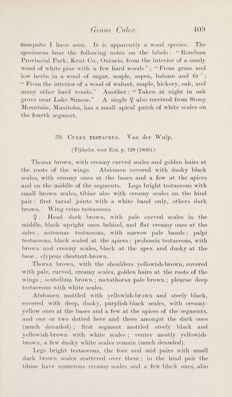 mosquito I have seen. It is apparently a wood species. The specimens bear the following notes on the labels: “Rondeau Provincial Park, Kent Co., Ontario, from the interior of a sandy wood of white pine with a few hard woods ; “From grass and low herbs in a wood of sugar, maple, aspen, balsam and fir ’ ; “ From the interior of a wood of walnut, maple, hickory, oak, and many other hard woods.” Another : “ Taken at night in oak grove near Lake Simcoe.” A single 9 also received from Stony M ountain, Manitoba, has a small apical patch of white scales on the fourth segment. O 39. Culex testaceus. Van der Wulp. (Tijdschr. voor Fait. p. 128 (1869).) Thorax brown, with creamy curved scales and golden hairs at the roots of the wings. Abdomen covered with dusky black scales, with creamy ones at the bases and a few at the apices and on the middle of the segments. Legs bright testaceous with small brown scales, tibiae also with creamy scales on the hind pair; first tarsal joints with a white band only, others dark brown. Wing veins testaceous. 9 • Plead dark brown, with pale curved scales in the middle, black upright ones behind, and flat creamy ones at the sides; antennae testaceous, with narrow pale bands; palpi testaceous, black scaled at the apices; proboscis testaceous, with brown and creamy scales, black at the apex and dusky at the base ; clypeus chestnut-brown. Thorax brown, with the shoulders yellowish-brown, covered with pale, curved, creamy scales, golden hairs at the roots of the wings ; scutellum brown; metathorax pale brown ; pleurae deep testaceous with white scales. Abdomen mottled with yellowish-brown and steely black, covered with deep, dusky, purplish-black scales, with creamy- yellow ones at the bases and a few at the apices of the segments, and one or two dotted here and there amongst the dark ones (much denuded) ; first segment mottled steely black and yellowish-brown with white scales ; venter mostly yellowish- brown, a few dusky white scales remain (much denuded). Legs bright testaceous, the fore and mid pairs with small dark brown scales scattered over them ; in the hind pair the tibiae have numerous creamy scales and a few black ones, also * *