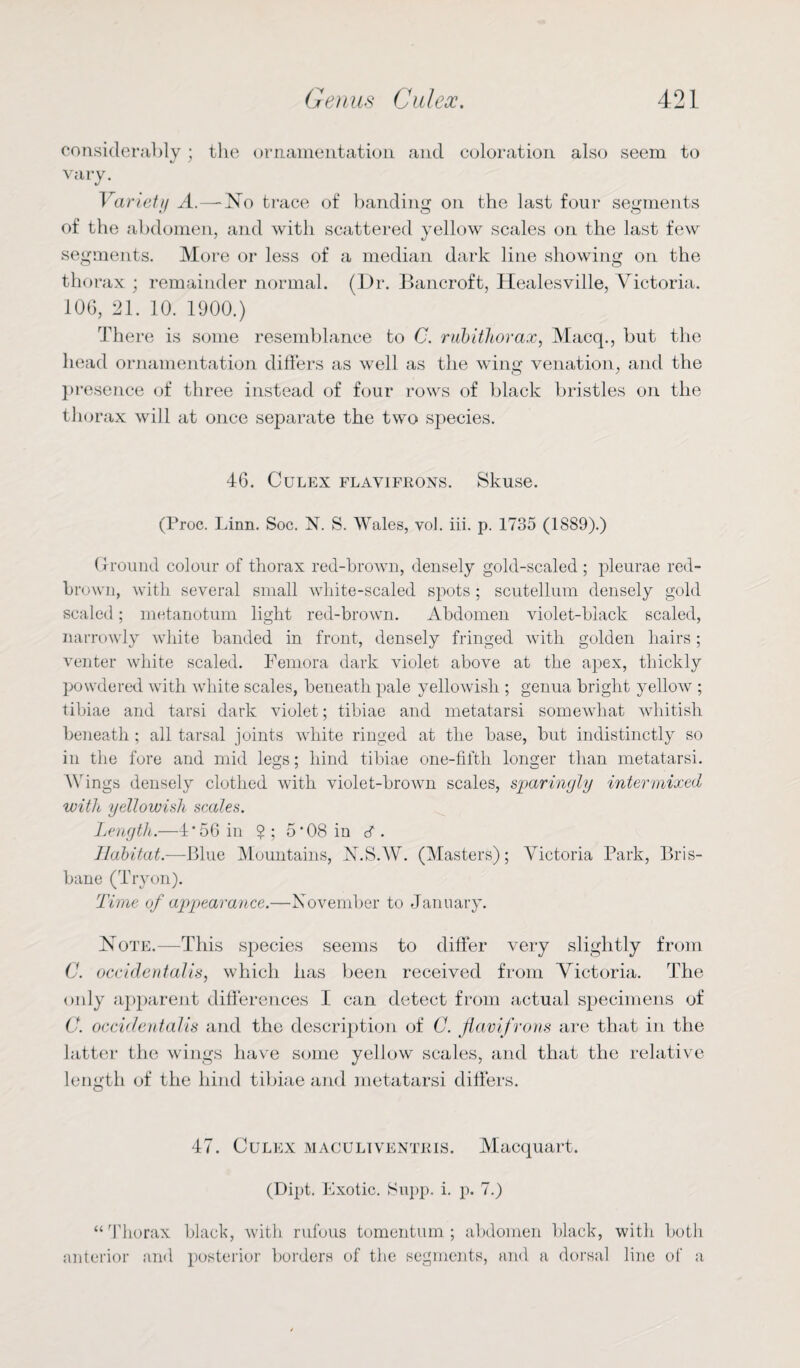 considerably; the ornamentation and coloration also seem to vary. Variety A.—No trace of banding on the last four segments of the abdomen, and with scattered yellow scales on the last few segments. More or less of a median dark line showing on the tin max ; remainder normal. (Dr. Bancroft, Healesville, Victoria. 106, 21. 10. 1900.) There is some resemblance to C. rubithorax, Macq., but the head ornamentation differs as well as the wing venation, and the presence of three instead of four rows of black bristles on the thorax will at once separate the two species. 46. Culex flavifrons. Skuse. (Proc. Linn. Soc. N. S. Wales, vol. iii. p. 1735 (1889).) Ground colour of thorax red-brown, densely gold-scaled ; pleurae red- brown, with several small white-scaled spots ; scutellum densely gold scaled; metanotum light red-brown. Abdomen violet-black scaled, narrowly white banded in front, densely fringed with golden hairs; venter white scaled. Femora dark violet above at the apex, thickly powdered with white scales, beneath pale yellowish ; genua bright yellow ; tibiae and tarsi dark violet; tibiae and metatarsi somewhat whitish beneath ; all tarsal joints white ringed at the base, but indistinctly so in the fore and mid legs; hind tibiae one-fifth longer than metatarsi. Wings densely clothed with violet-brown scales, sparingly intermixed with yellowish scales. Length.—4‘56 in $ ; 5’08 in d. Habitat.—Blue Mountains, N.S.W. (Masters); Victoria Park, Bris¬ bane (Try on). Time of appearance.—November to January. Note.—This species seems to differ very slightly from C. occidentalism which has been received from Victoria. The only apparent differences I can detect from actual specimens of C. occidentalis and the description of C. flavifrons are that in the latter the wings have some yellow scales, and that the relative length of the hind tibiae and metatarsi differs. 47. Culex maculiventris. Macquart. (Dipt. Exotic. Hupp. i. p. 7.) “Thorax black, with rufous tomentum ; abdomen black, with both anterior and posterior borders of the segments, and a dorsal line of a