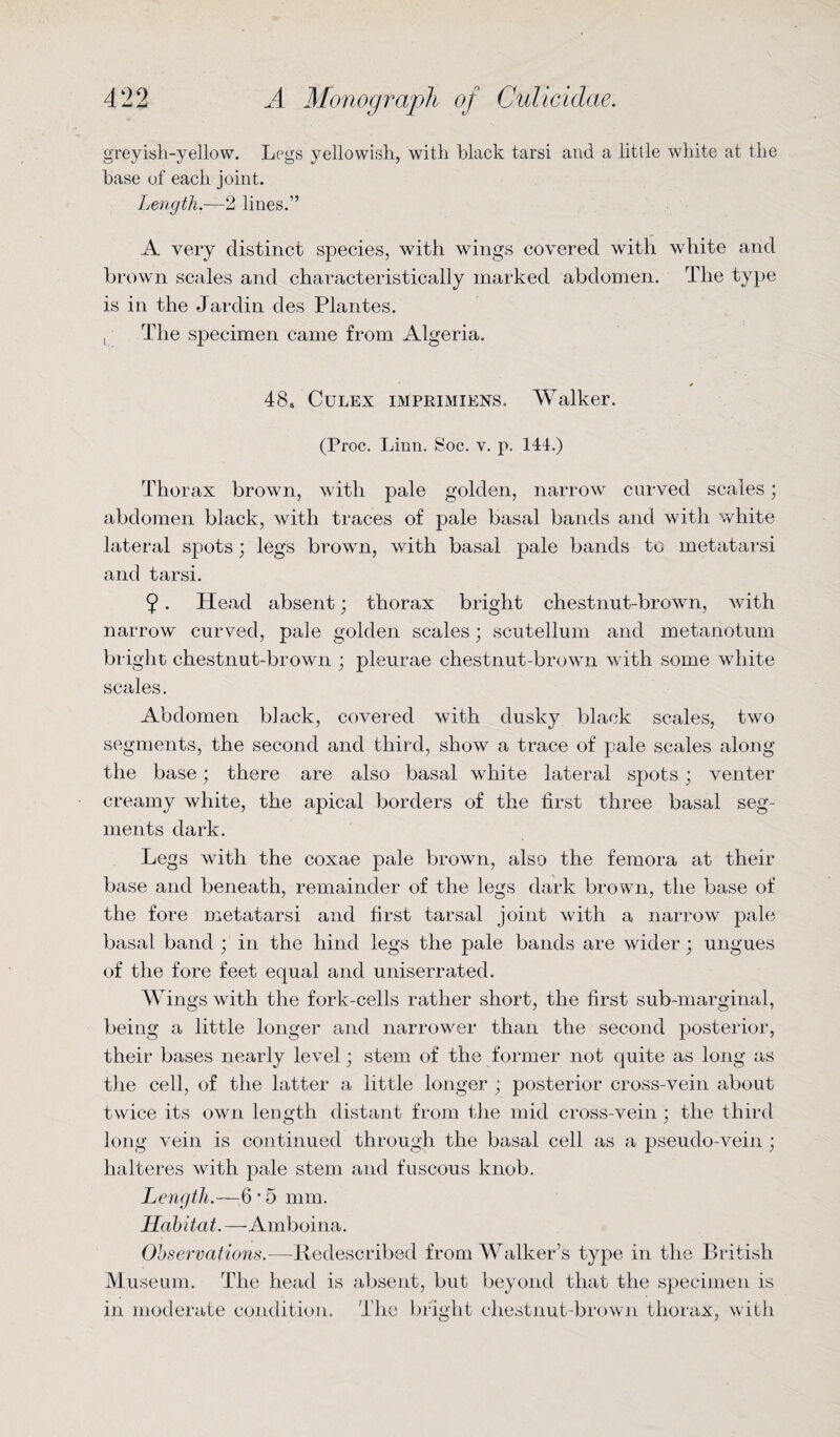 greyish-yellow. Legs yellowish, with black tarsi and a little white at the base of each joint. Length.—2 lines.” A very distinct species, with wings covered with white and brown scales and characteristically marked abdomen. The type is in the Jardin des Plantes. , The specimen came from Algeria. * 48* Culex imprimiens. Walker. (Proc. Linn. Soc. v. p. 144.) Thorax brown, with pale golden, narrow curved scales; abdomen black, with traces of pale basal bands and with white lateral spots; legs brown, with basal pale bands to metatarsi and tarsi. 9. Head absent; thorax bright chestnut-brown, with narrow curved, pale golden scales; scutellum and metanotum bright chestnut-brown ; pleurae chestnut-brown with some white scales. Abdomen black, covered with dusky black scales, two segments, the second and third, show a trace of pale scales along the base; there are also basal white lateral spots; venter creamy white, the apical borders of the first three basal seg¬ ments dark. Legs with the coxae pale brown, also the femora at their base and beneath, remainder of the legs dark brown, the base of the fore metatarsi and first tarsal joint with a narrow pale basal band ; in the hind legs the pale bands are wider; ungues of the fore feet equal and uniserrated. Wings with the fork-cells rather short, the first sub-marginal, being a little longer and narrower than the second posterior, their bases nearly level; stem of the former not quite as long as the cell, of the latter a little longer ; posterior cross-vein about twice its own length distant from the mid cross-vein; the third long vein is continued through the basal cell as a pseudo-vein ; halteres with pale stem and fuscous knob. Length.—6 • 5 mm. Habitat. —Amboina. Observations.—Redescribed from Walker’s type in the British Museum. The head is absent, but beyond that the specimen is in moderate condition. The bright chestnut-brown thorax, with