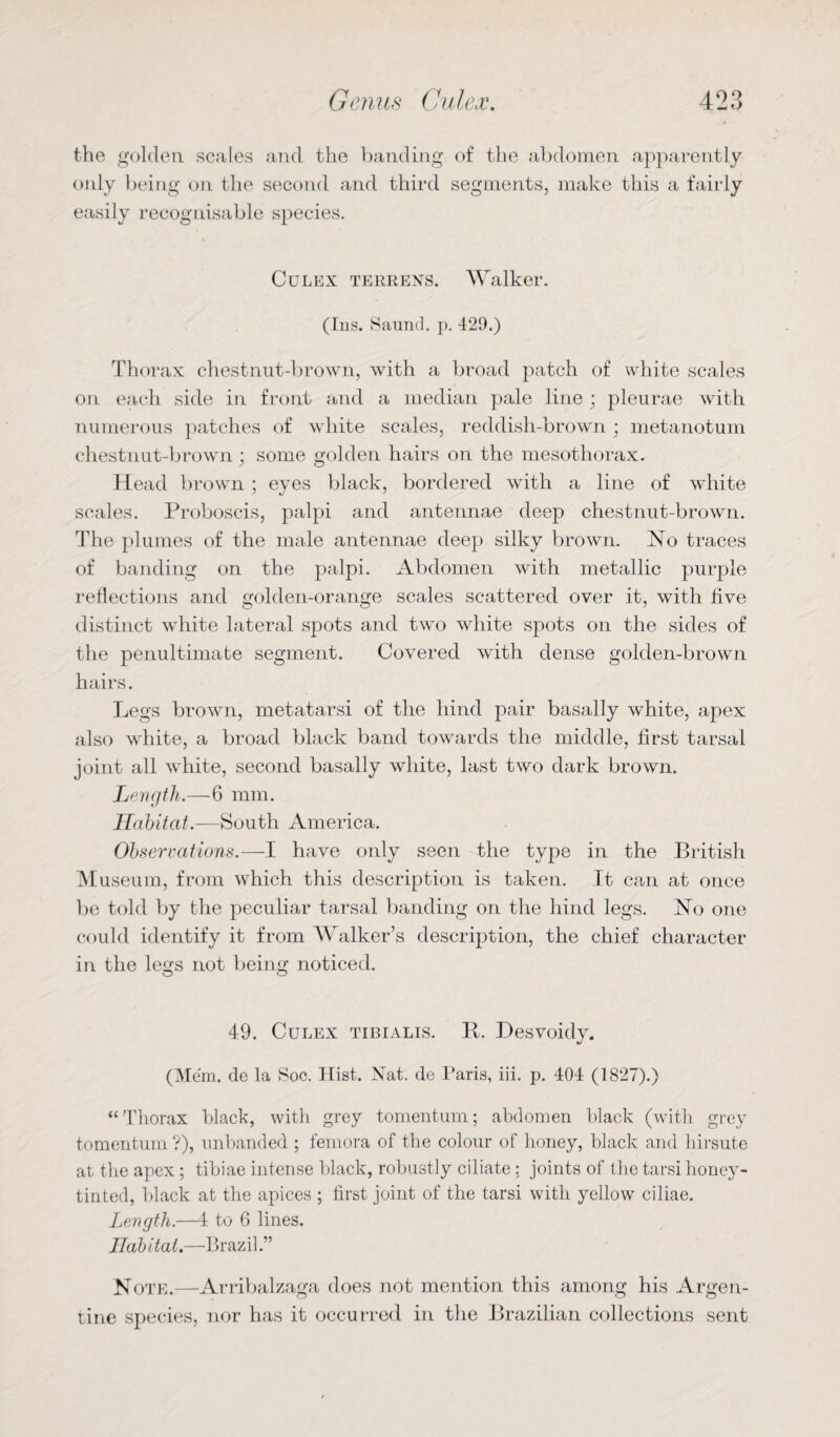 the golden scales and the banding of the abdomen apparently only being on the second and third segments, make this a fairly easily recognisable species. Culex terrens. Walker. (Ins. Saund. p. 429.) Thorax chestnut-brown, with a broad patch of white scales on each side in front and a median pale line ; pleurae with numerous patches of white scales, reddish-brown ; metanotum chestnut-brown ; some golden hairs on the mesothorax. Head brown ; eyes black, bordered with a line of white scales. Proboscis, palpi and antennae deep chestnut-brown. The plumes of the male antennae deep silky brown. No traces of banding on the palpi. Abdomen with metallic purple reflections and golden-orange scales scattered over it, with five distinct white lateral spots and two white spots on the sides of the penultimate segment. Covered with dense golden-brown hairs. Legs brown, metatarsi of the hind pair basally white, apex also white, a broad black band towards the middle, first tarsal joint all white, second basally white, last two dark brown. Length.—6 mm. Habitat.—South America. Observations.—I have only seen the type in the British M useum, from which this description is taken. It can at once be told by the peculiar tarsal banding on the hind legs. No one could identify it from Walker’s description, the chief character in the legs not being noticed. 49. Culex tibialis. R. Desvoidy. (Mem, de la Soc. Hist. Nat. de Paris, iii. p. 404 (1827).) “Thorax black, with grey tomentum; abdomen black (with grey tomentum ?), unhanded ; femora of the colour of honey, black and hirsute at the apex ; tibiae intense black, robustly ciliate .; joints of the tarsi honey- tinted, black at the apices ; first joint of the tarsi with yellow ciliae. Length.—4 to 6 lines. Habitat.—Brazil.” Note.—Arribalzaga does not mention this among his Argen¬ tine species, nor has it occurred in the Brazilian collections sent